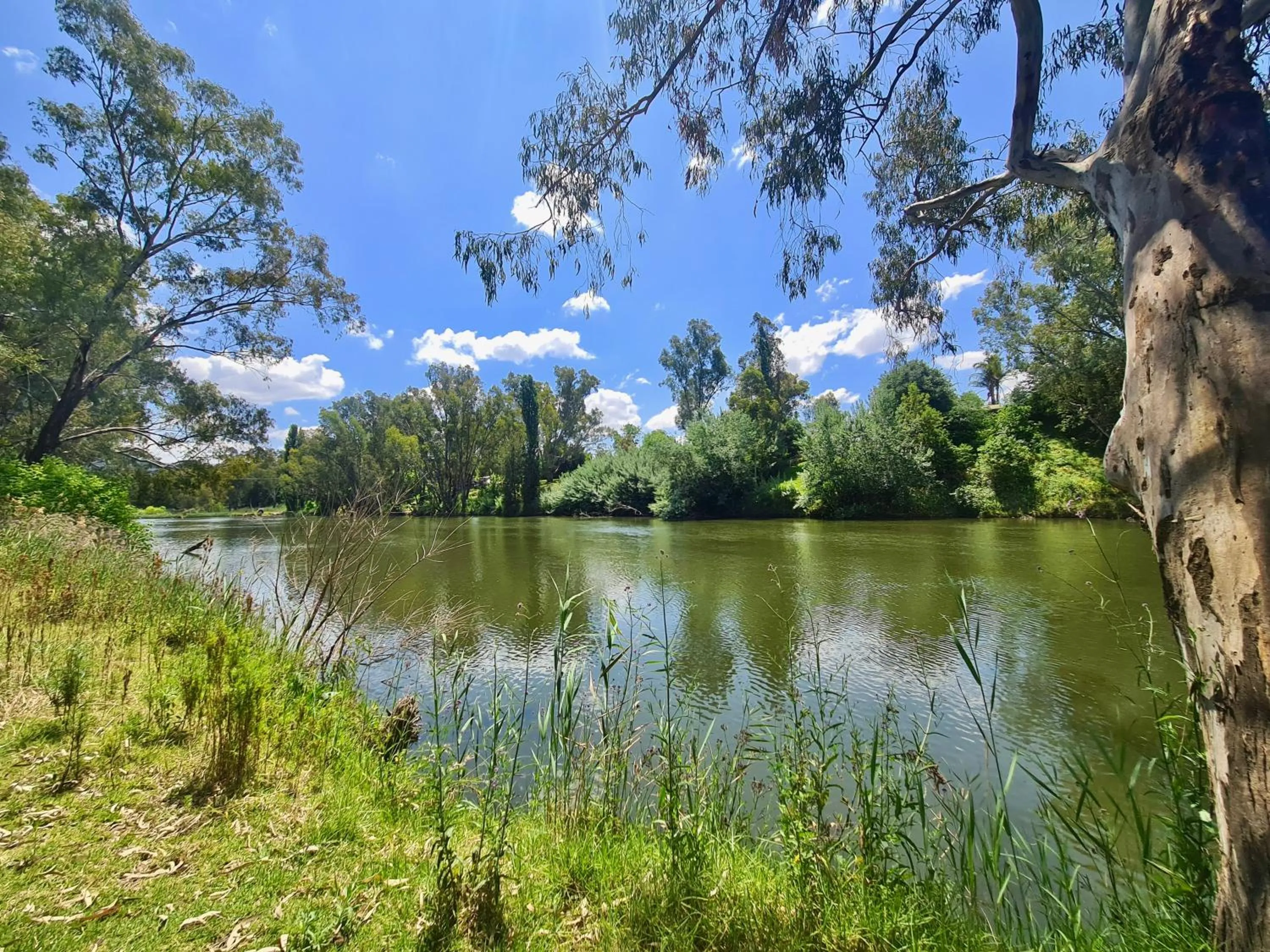 River view in Bridge Motel Wellington