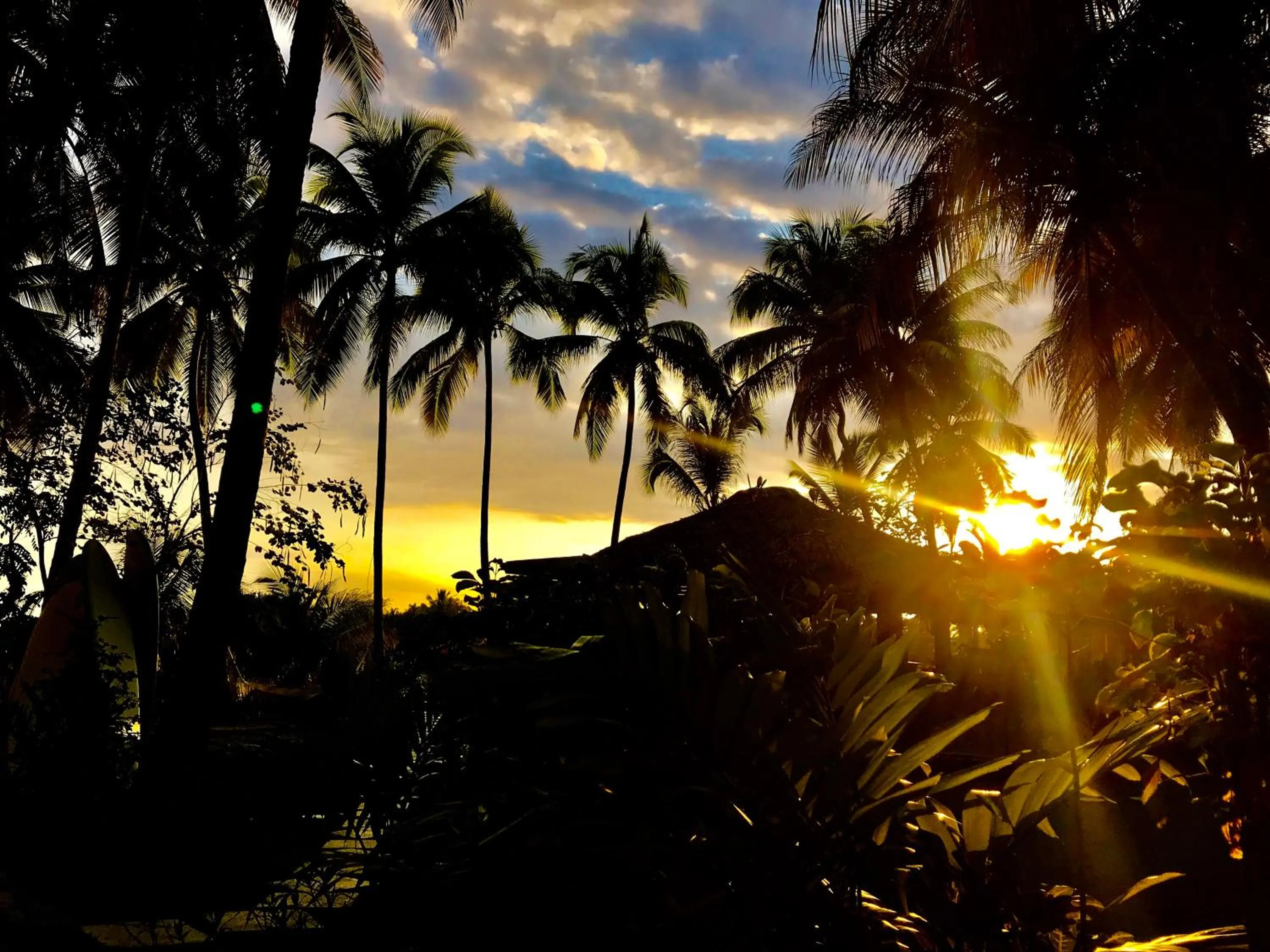 View (from property/room) in Hotel Restaurant Cyvadier Plage