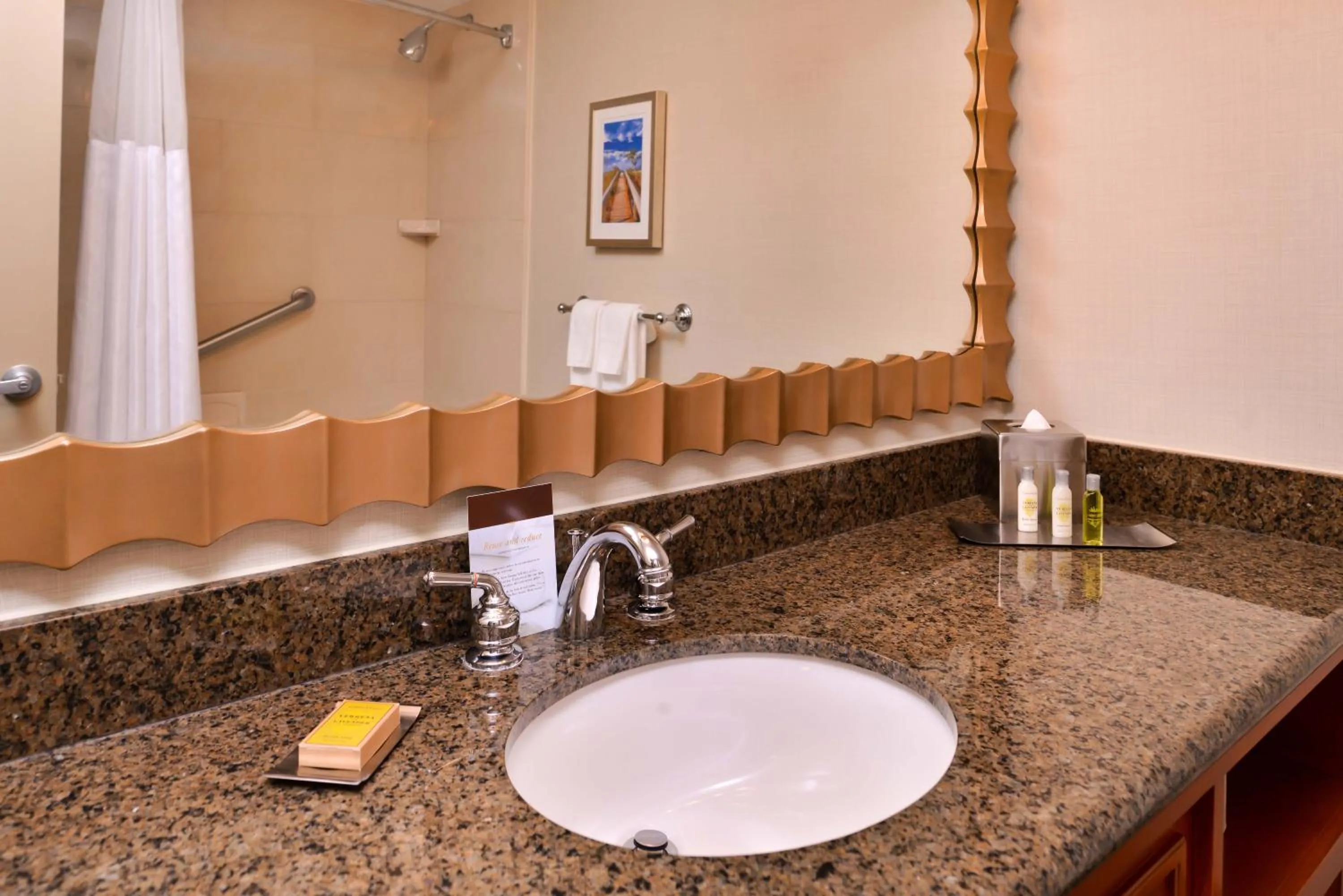 Shower, Bathroom in DoubleTree by Hilton Hotel Tampa Airport-Westshore