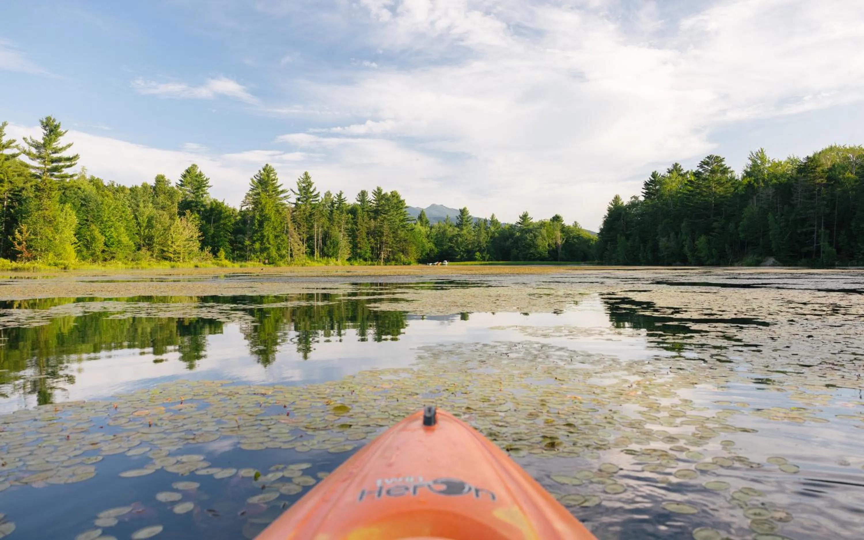 Natural landscape in Sterling Ridge Resort
