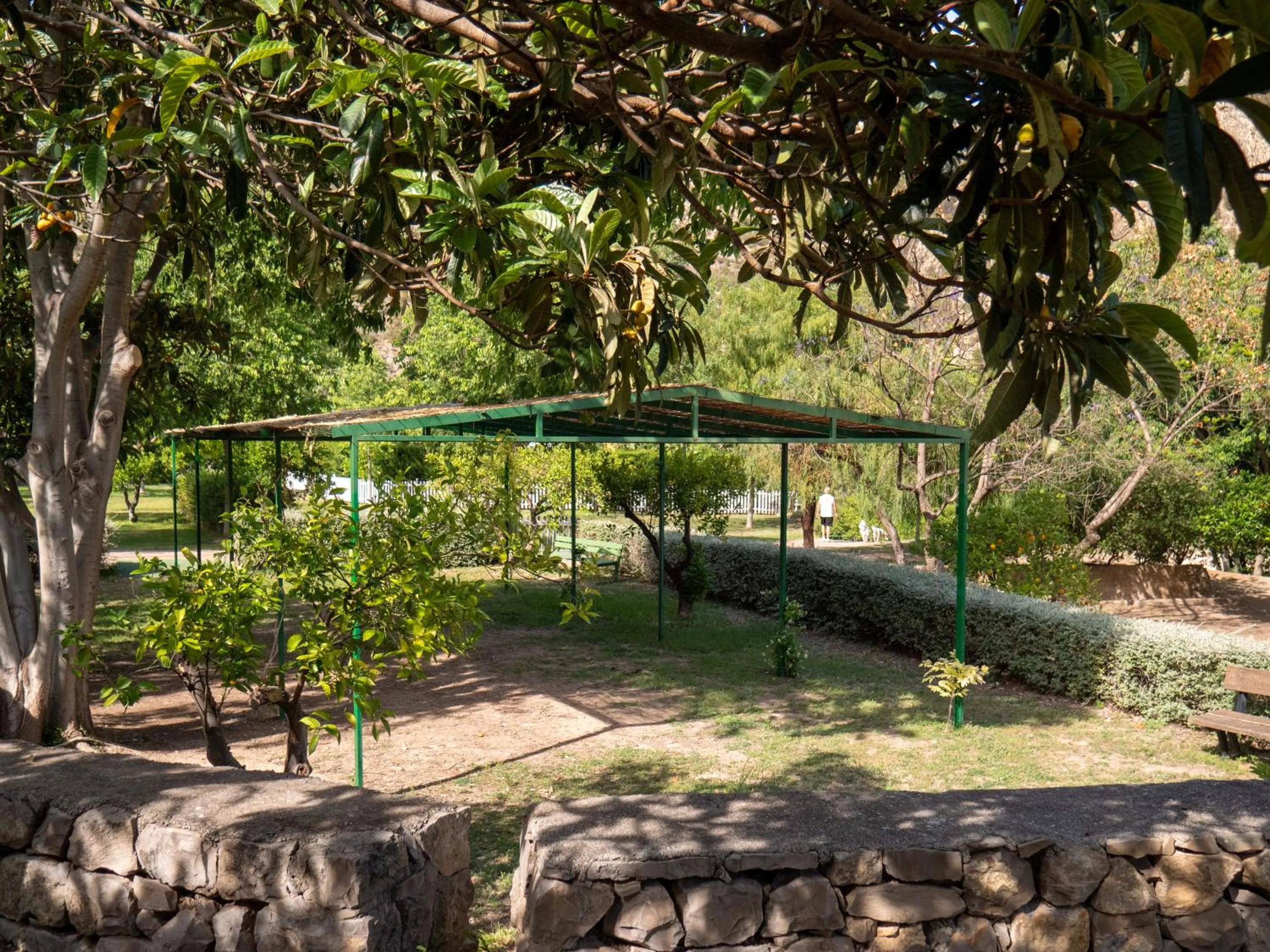 Off site in El Cerrao-PauNatura