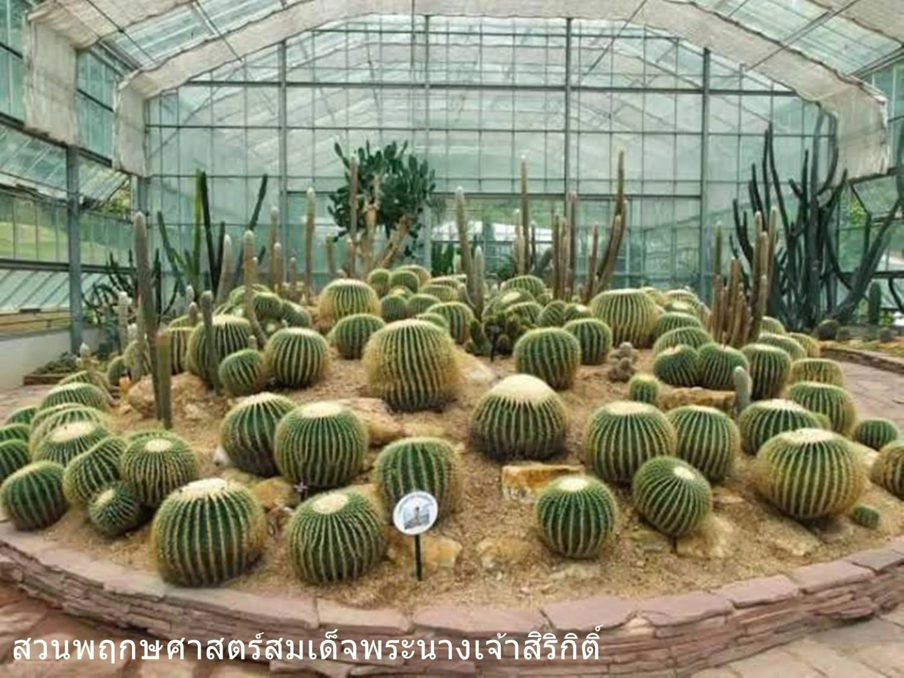 Neighbourhood in The Greenery central suite & hotel