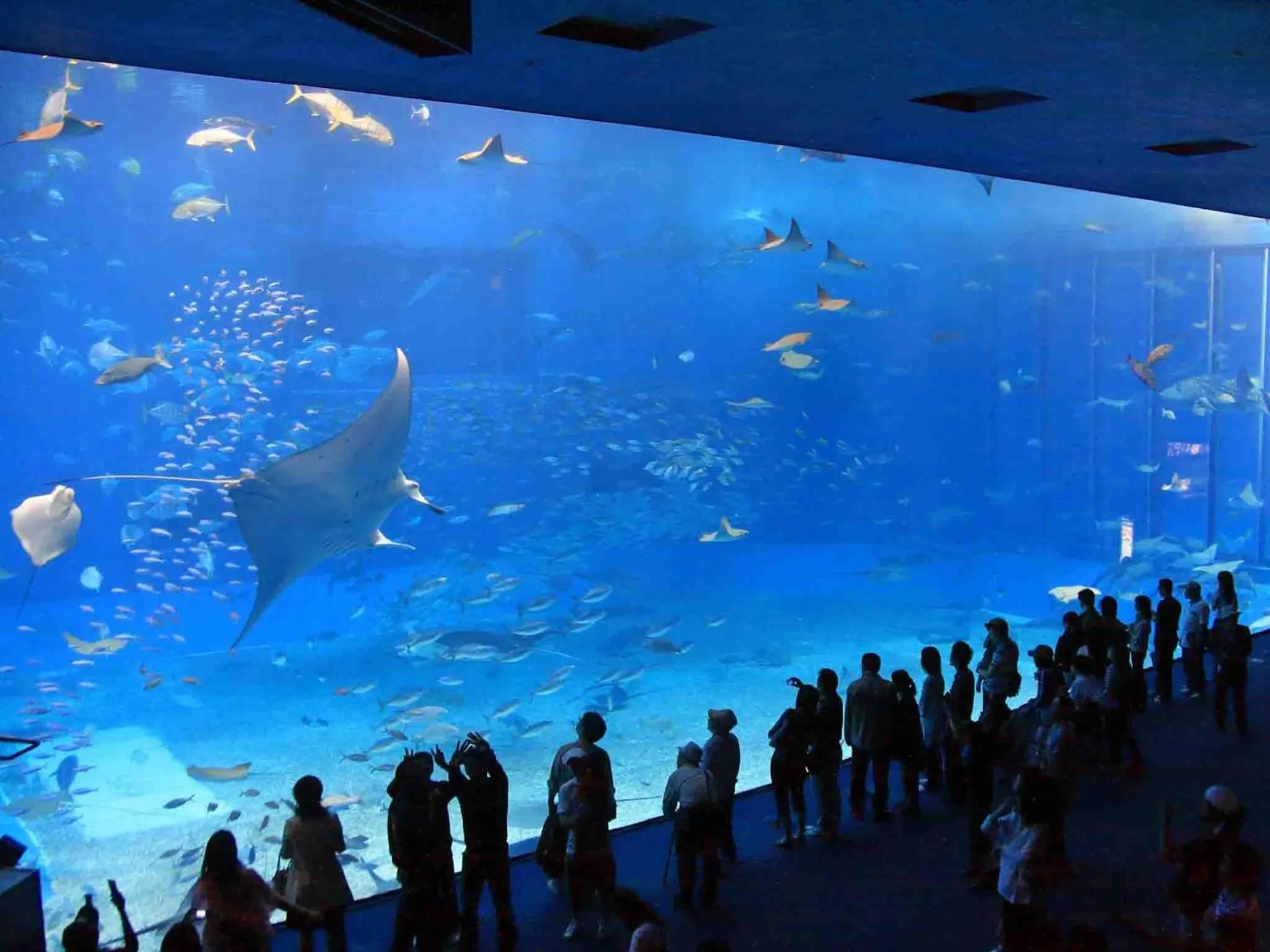 Entertainment in Okinawa City Hotel