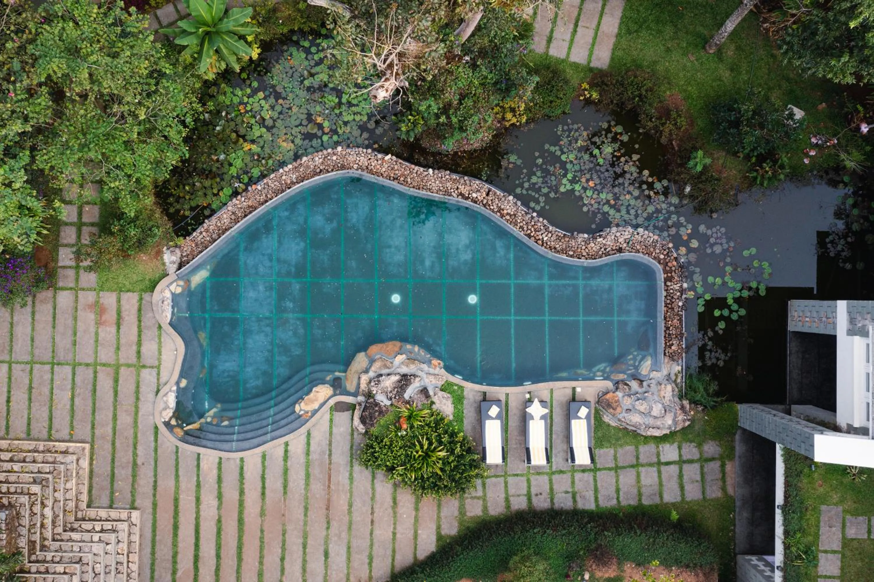 SpiceTree Rajakumari