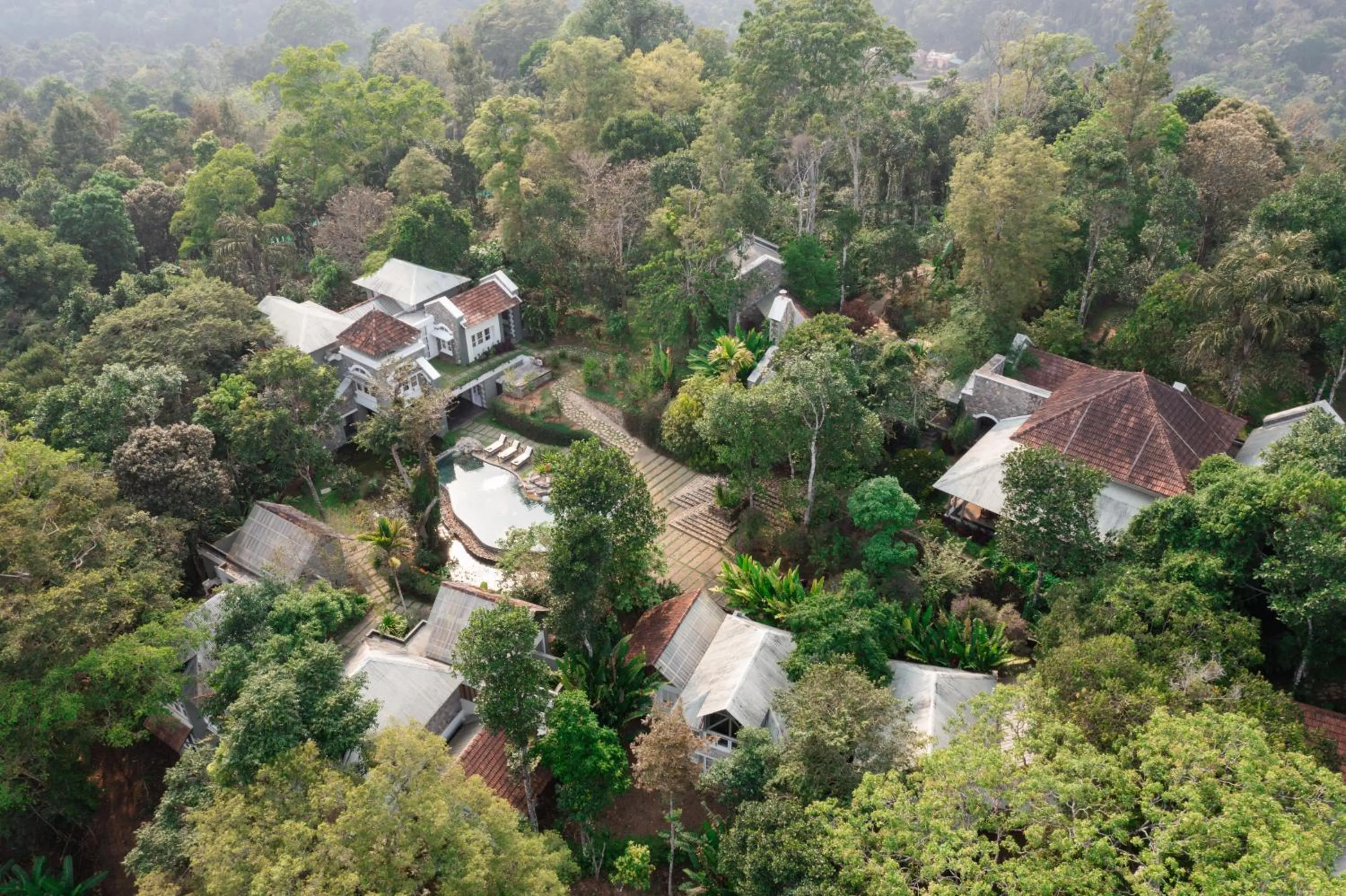 SpiceTree Rajakumari