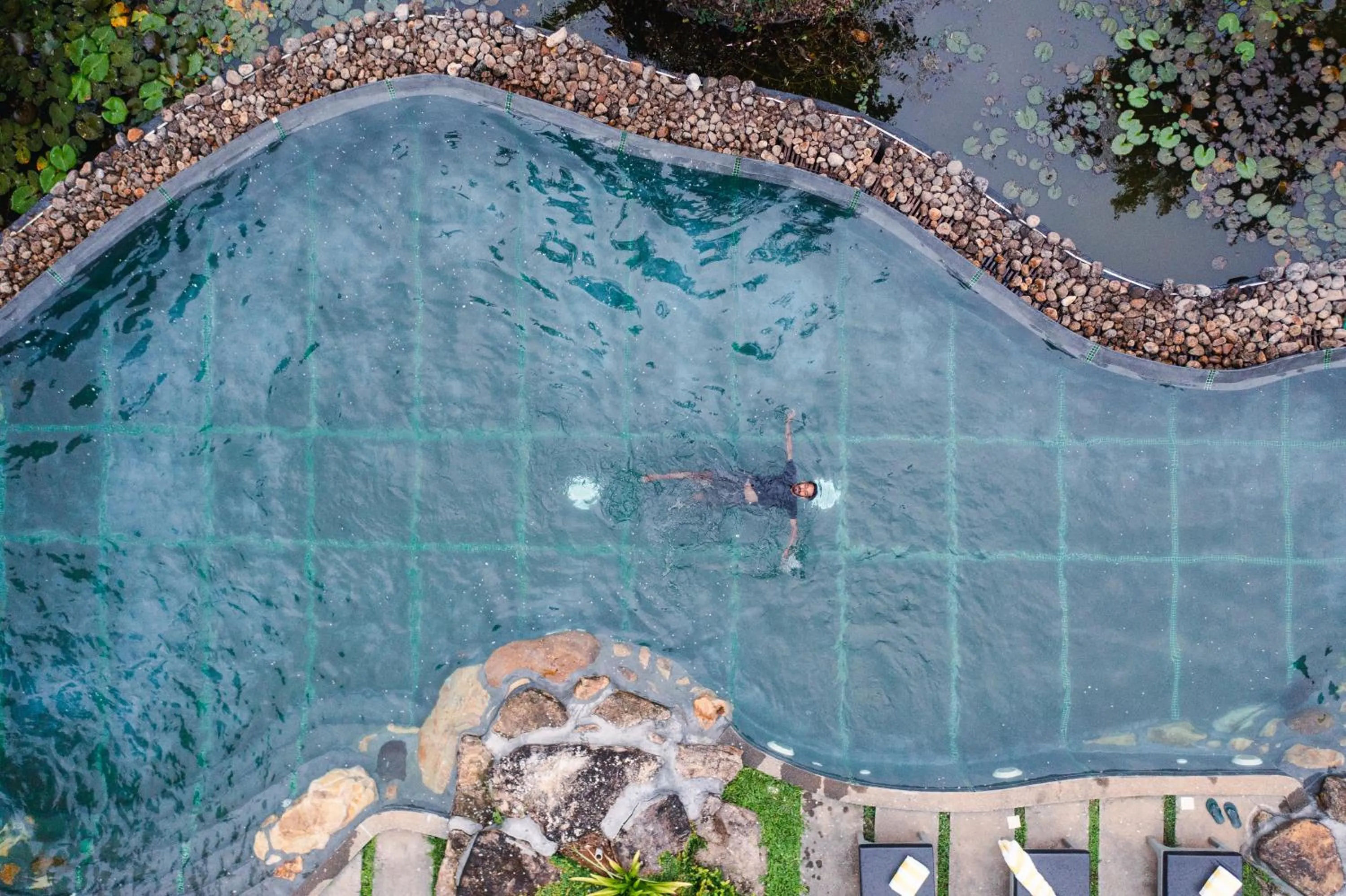 SpiceTree Rajakumari