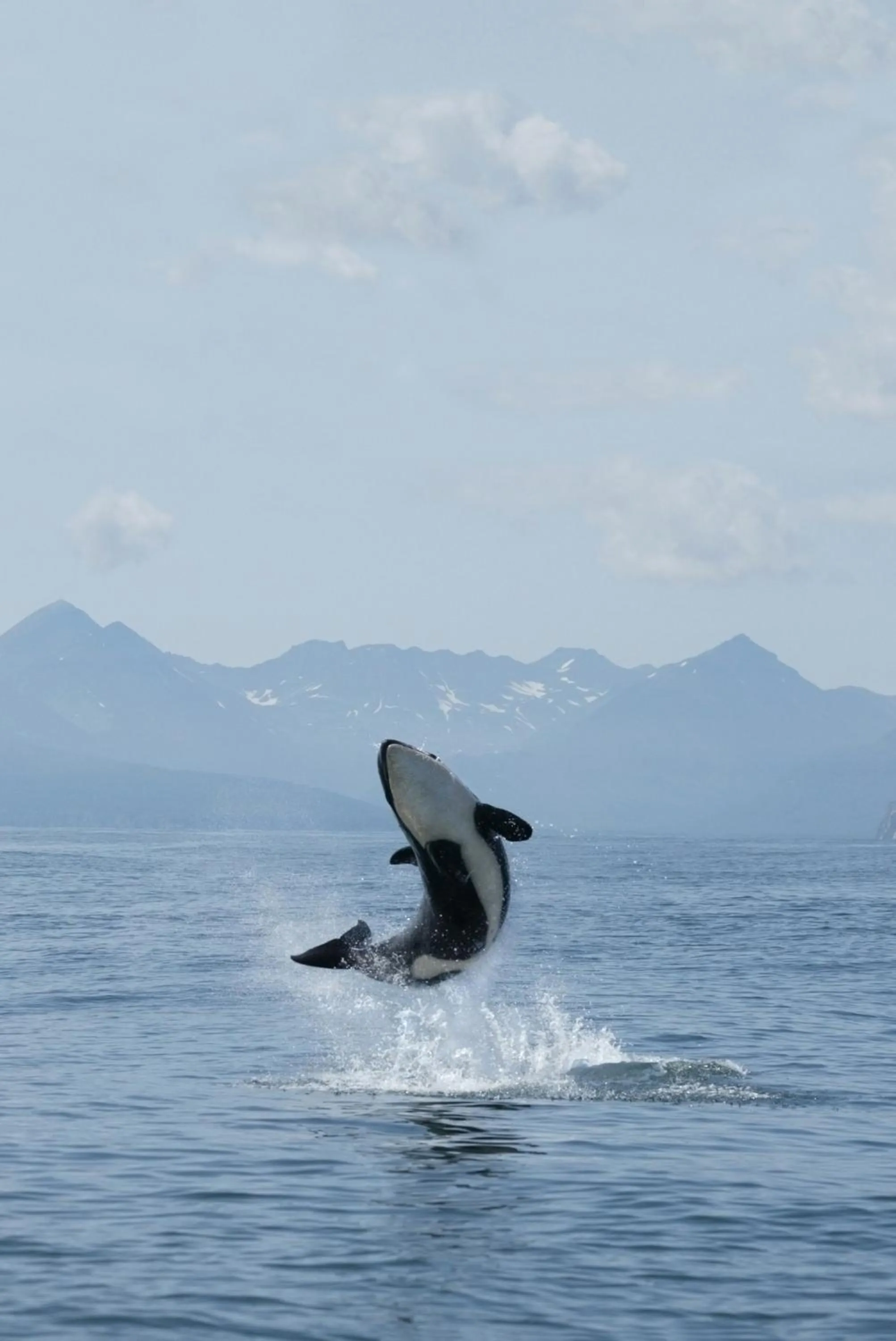 Activities in Salty Towers Ocean Front Cottages