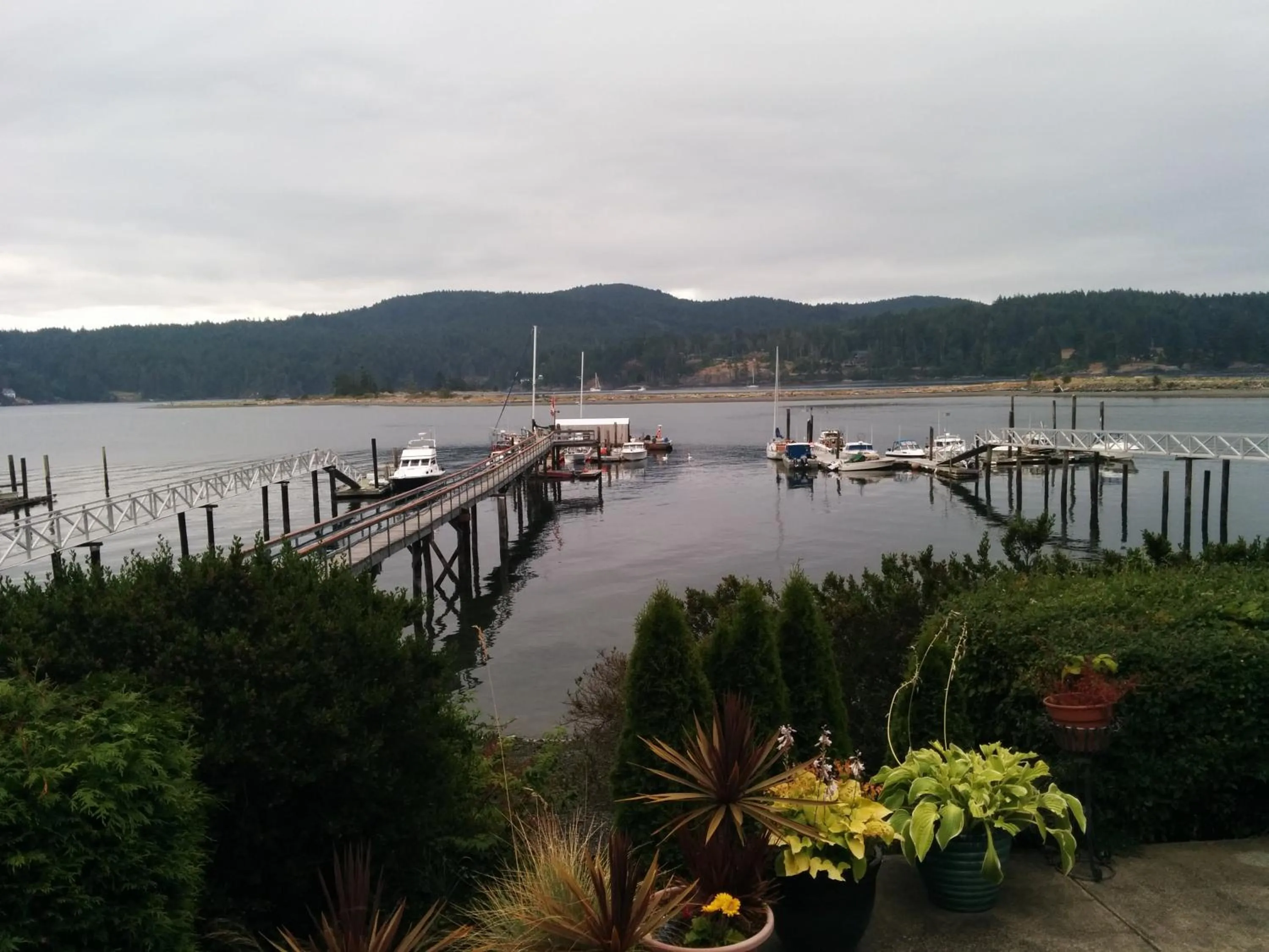 Day in Salty Towers Ocean Front Cottages