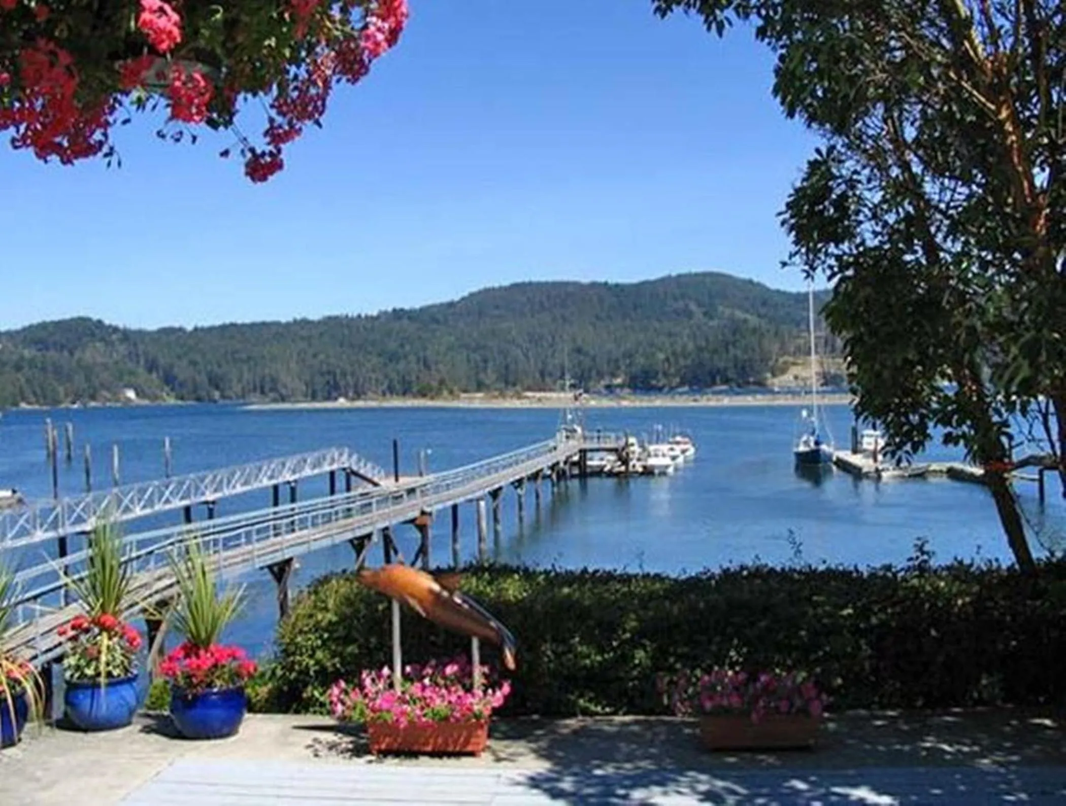 Day in Salty Towers Ocean Front Cottages