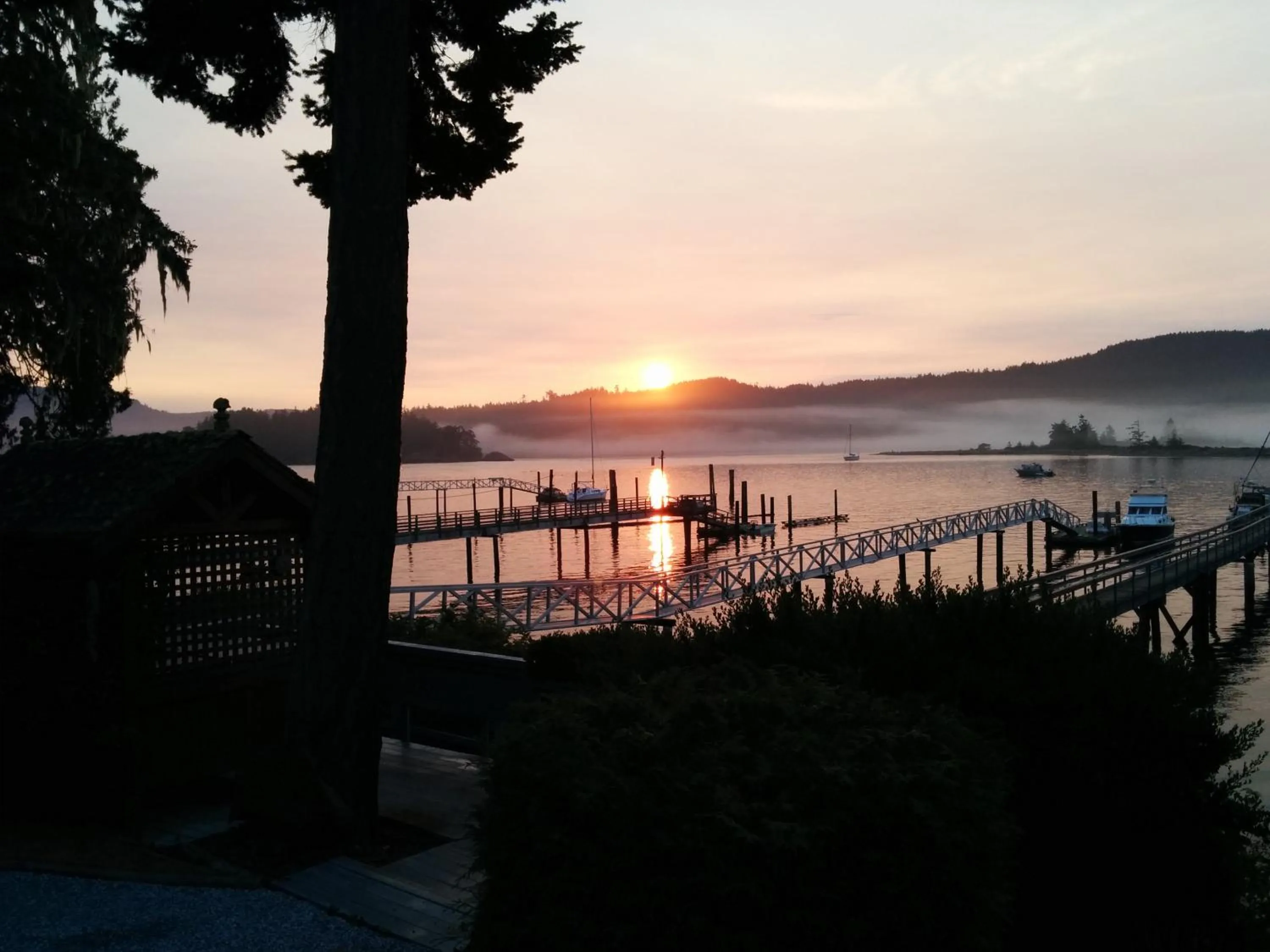Garden in Salty Towers Ocean Front Cottages