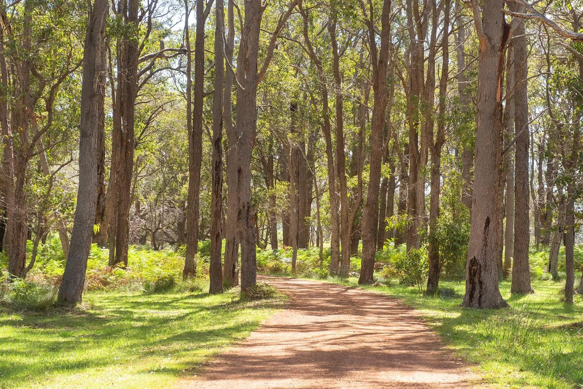 Natural landscape in Simala Retreat