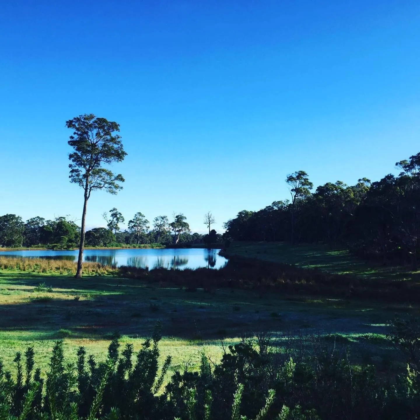 Nearby landmark in Simala Retreat