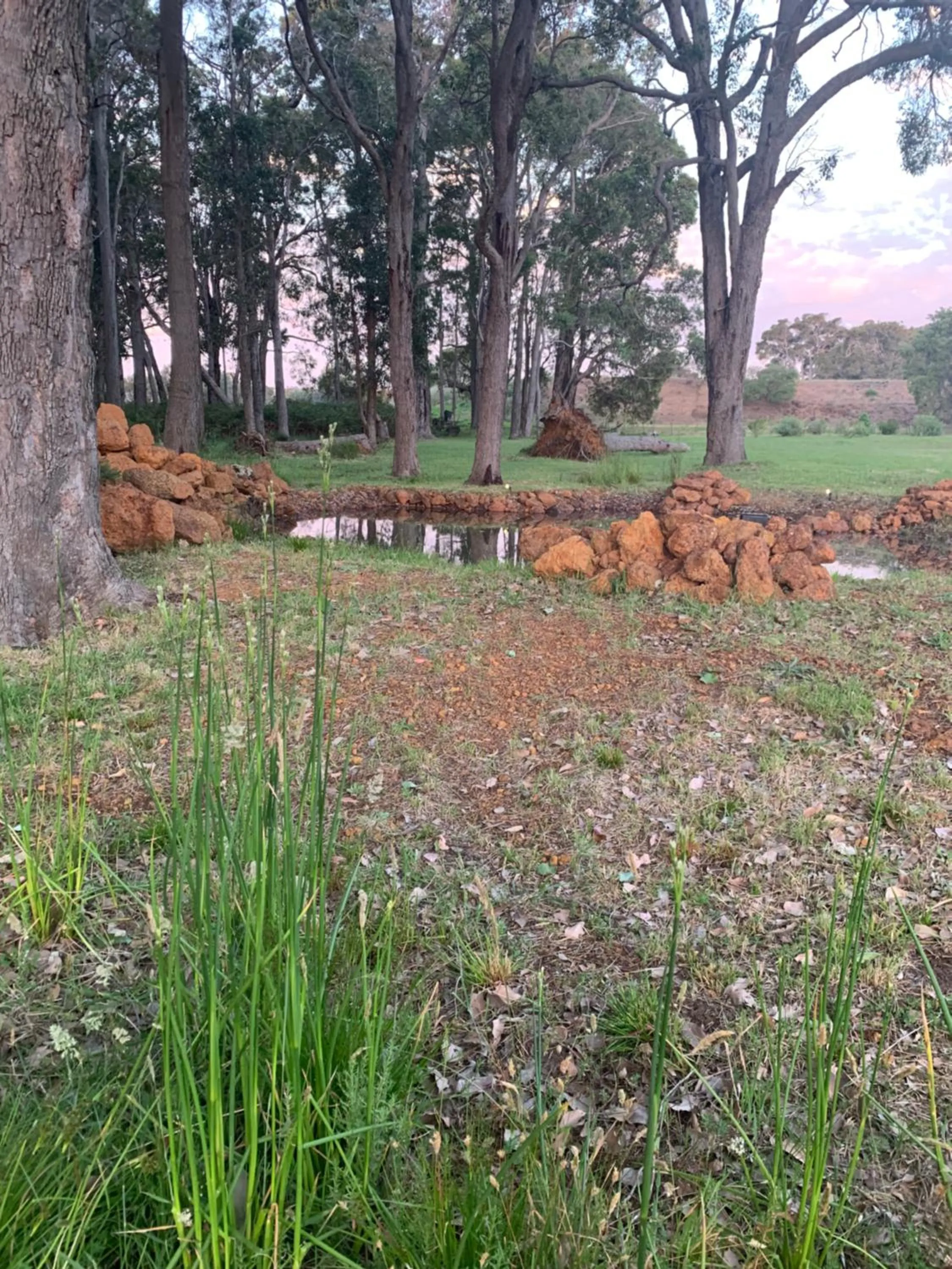 Natural landscape in Simala Retreat