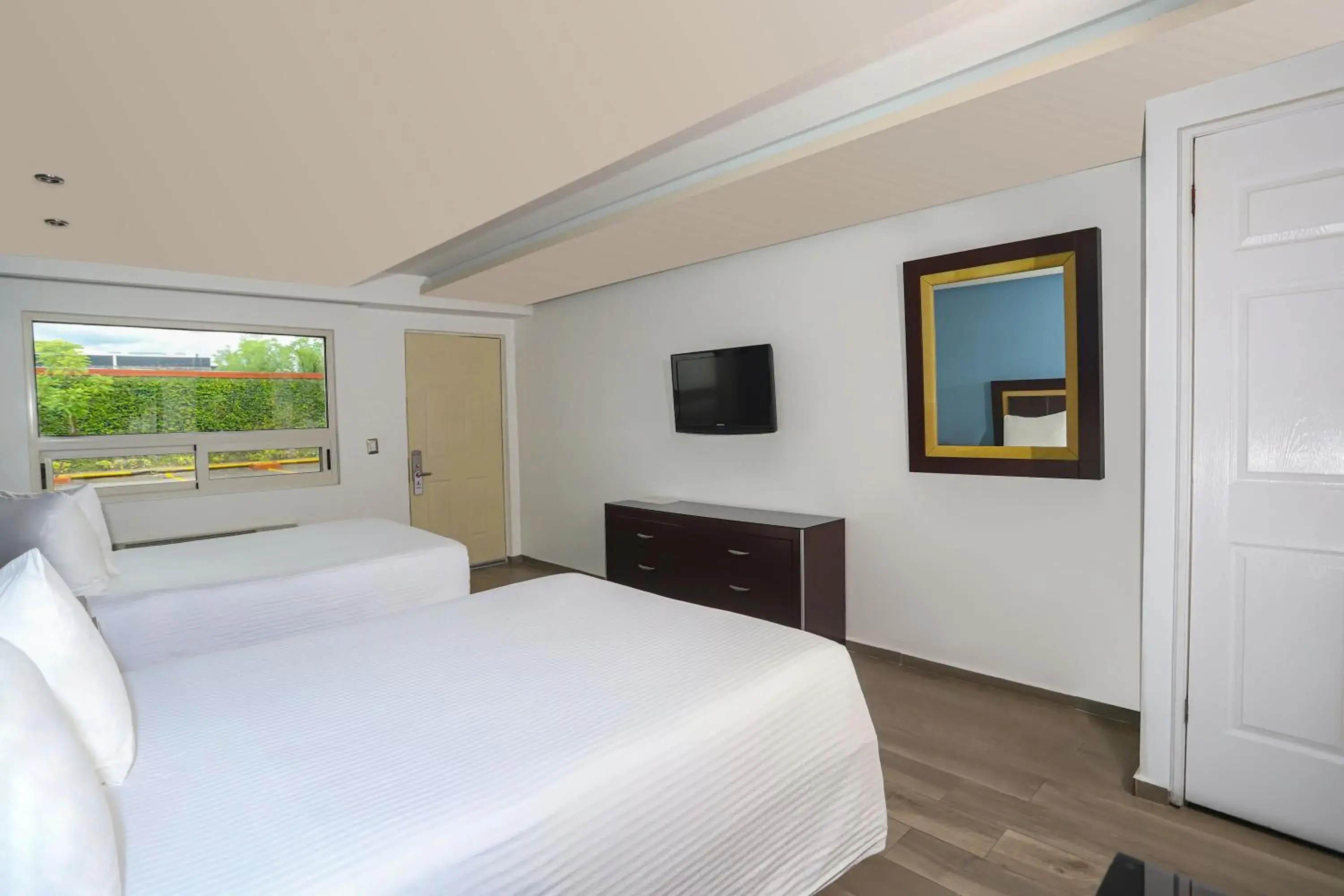 Double Room in Quinta Dorada Hotel & Suites Double Room in Quinta Dorada Hotel & Suites
