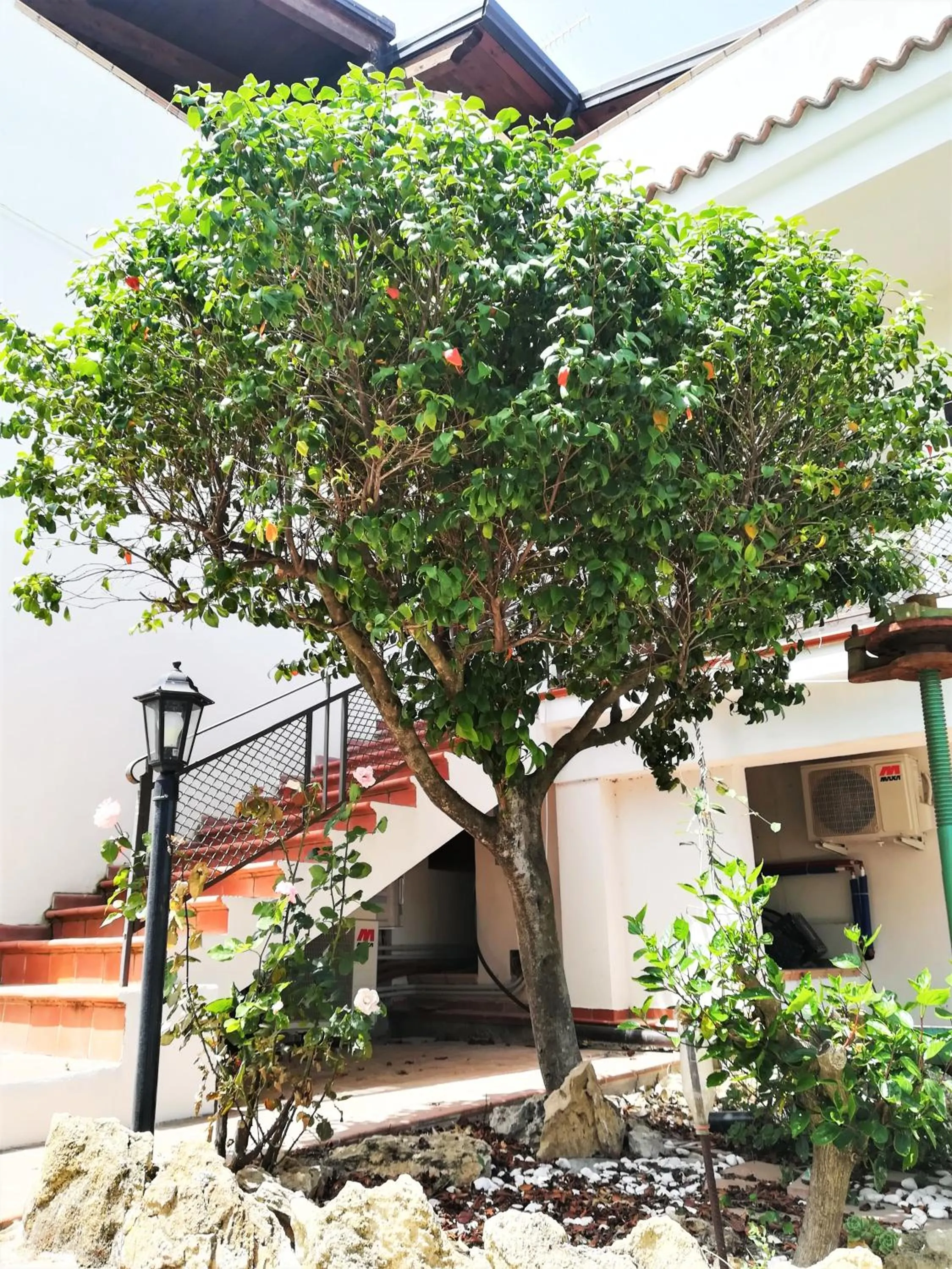 Property building in LudoMar Country Residence - Rooms & Apartments