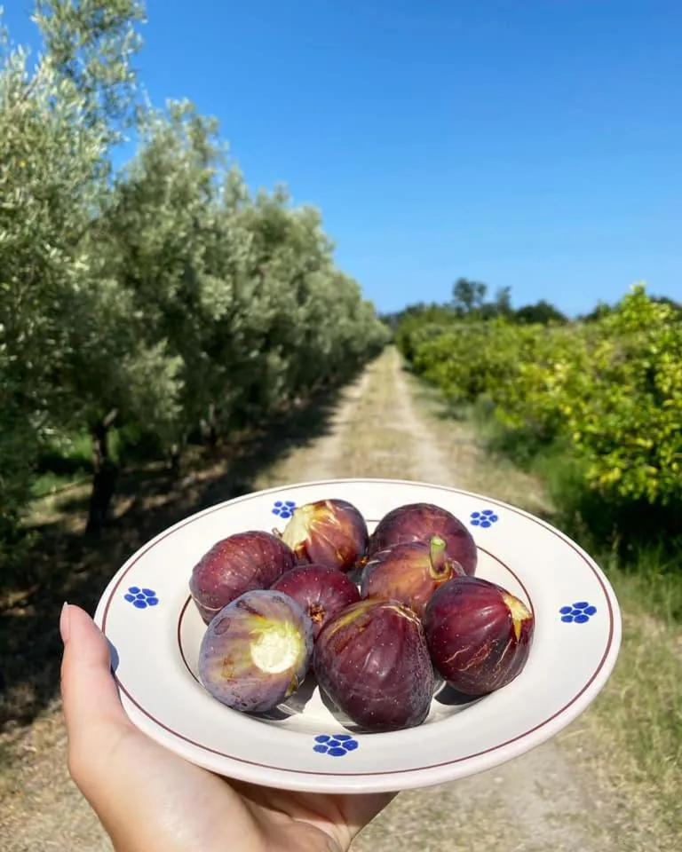 Natural landscape in LudoMar Country Residence - Rooms & Apartments