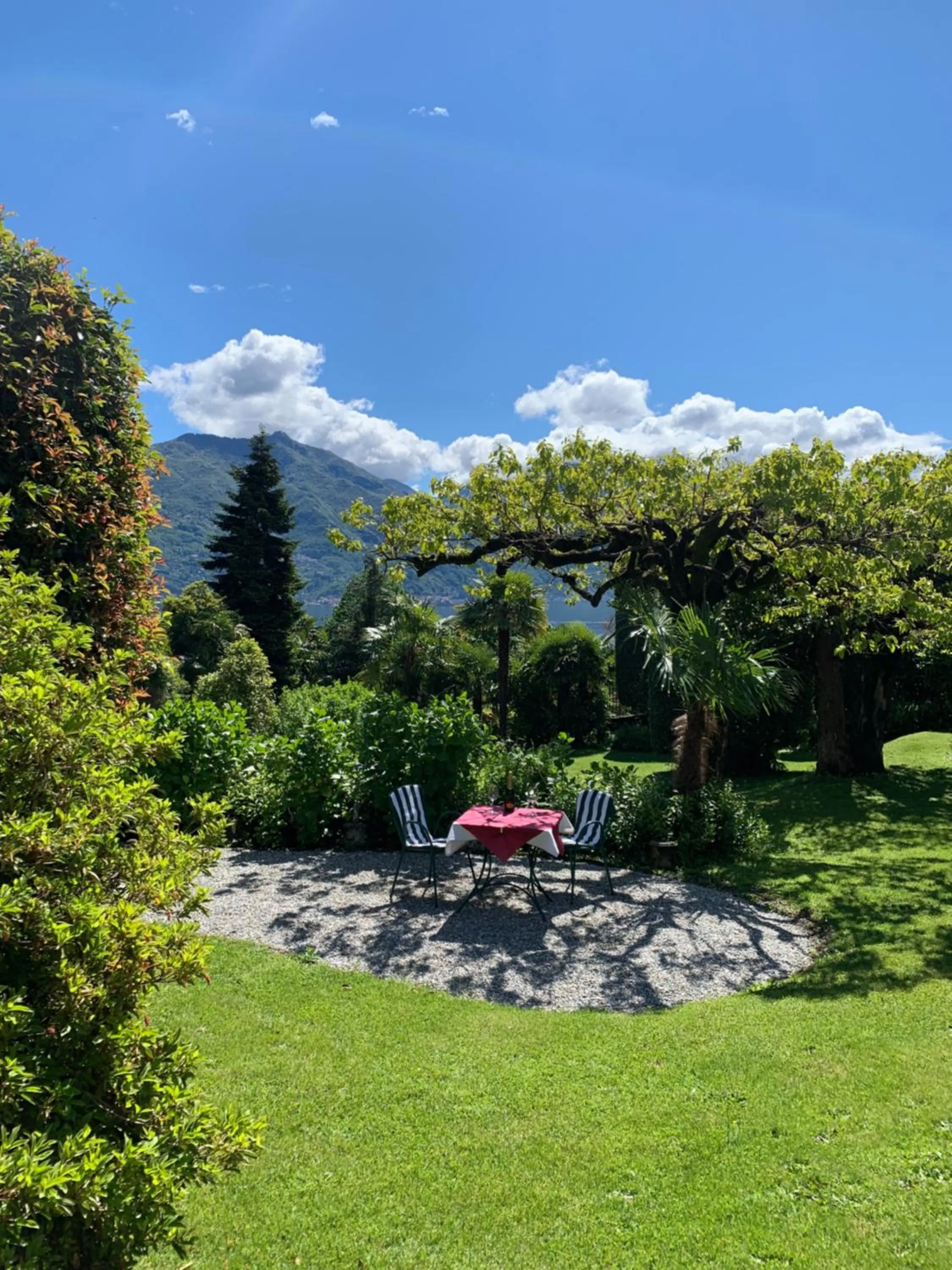 Garden in Hotel Loveno