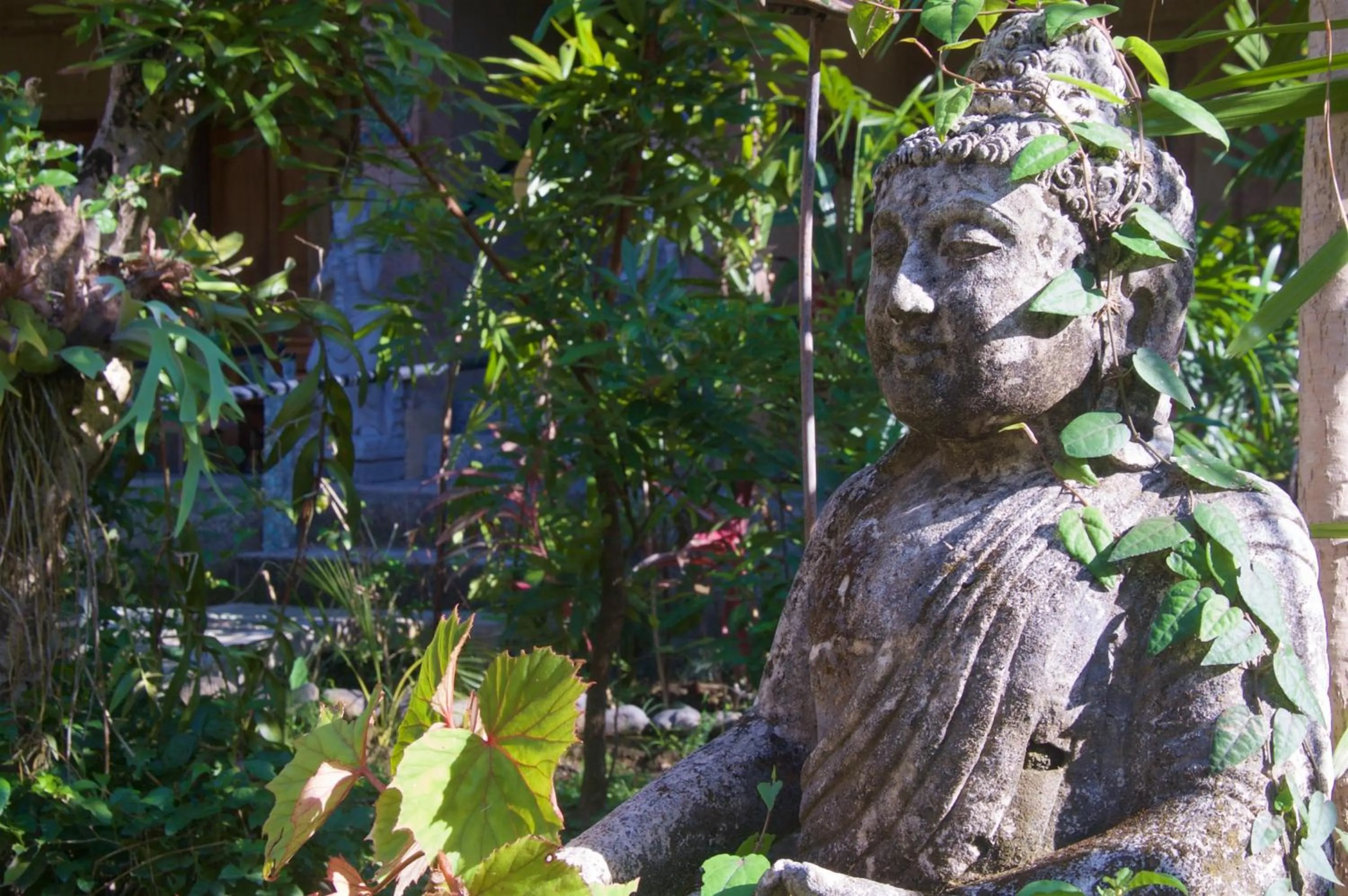 Garden in Taman Rahasia Tropical Sanctuary and Spa