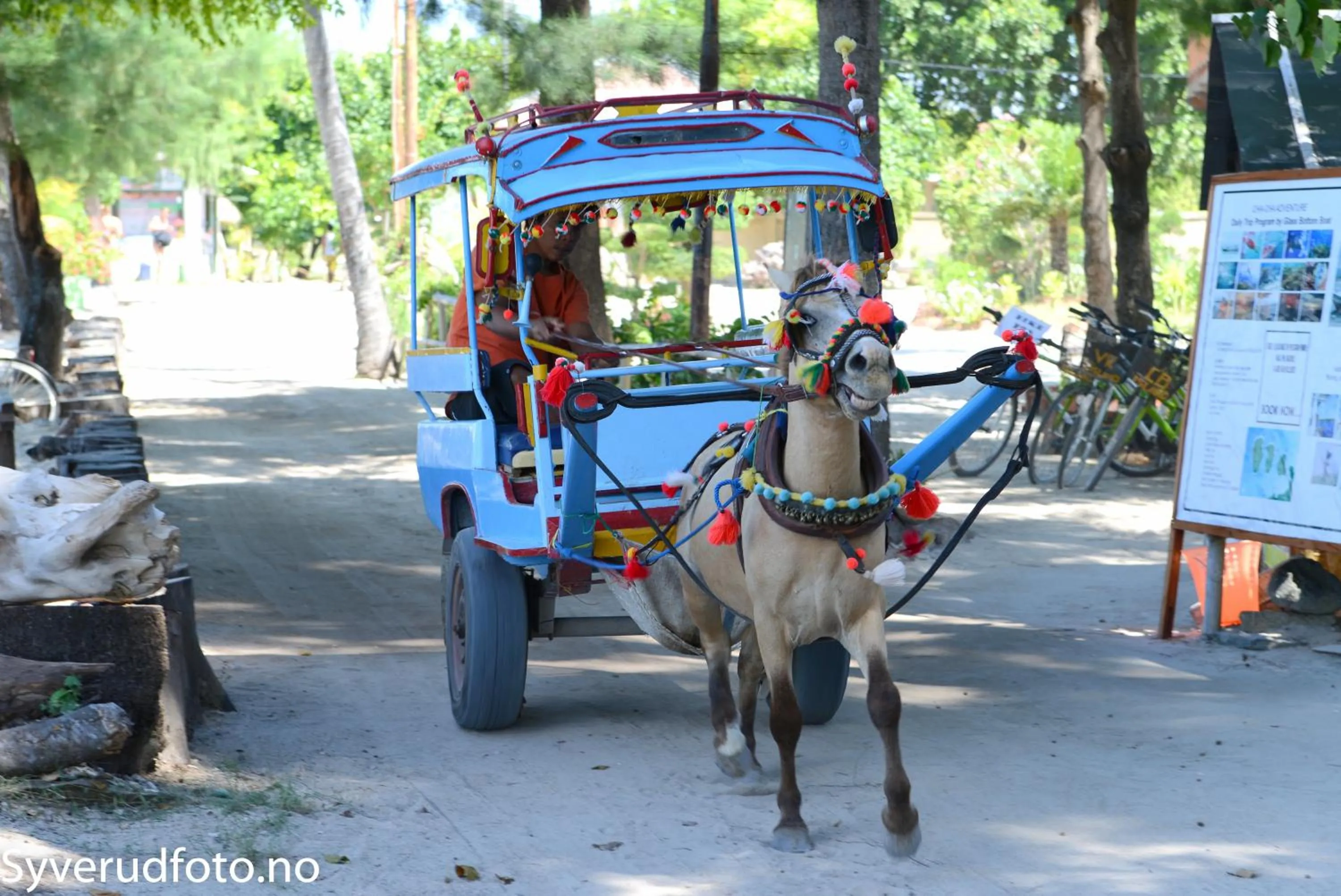 Neighbourhood in Lucy's Garden Hotel