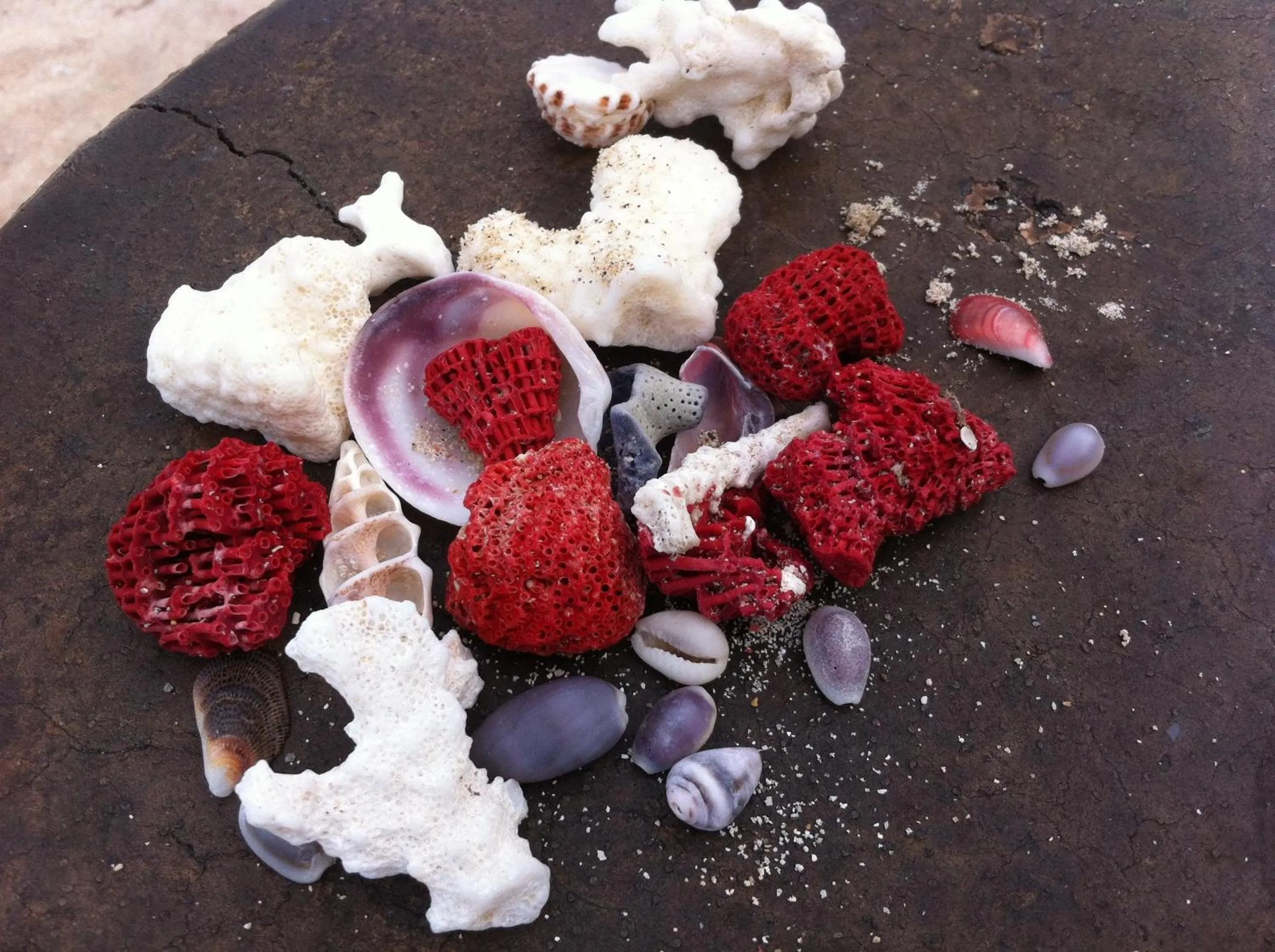 Area and facilities in Lucy's Garden Hotel