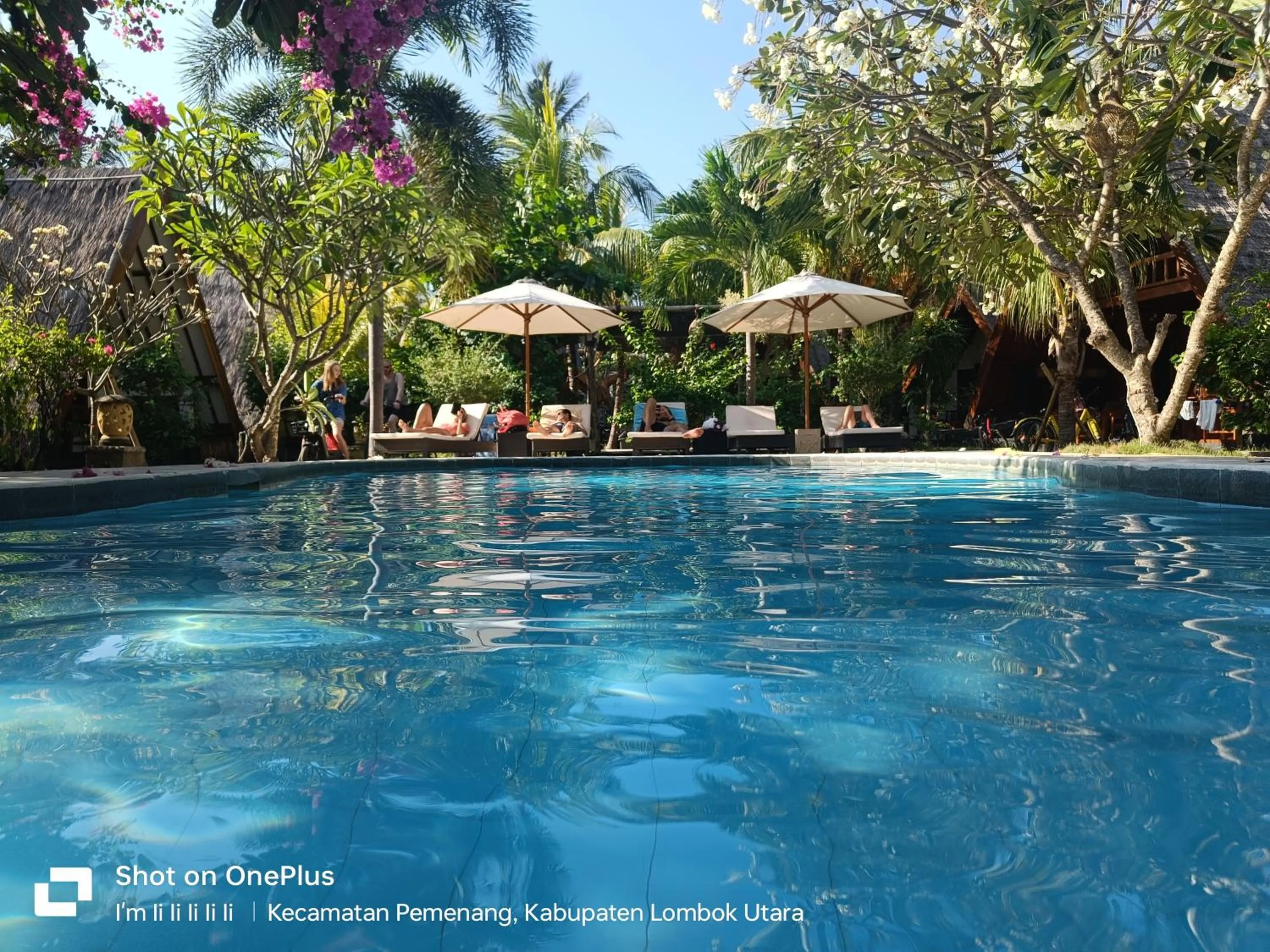 Swimming pool in Lucy's Garden Hotel