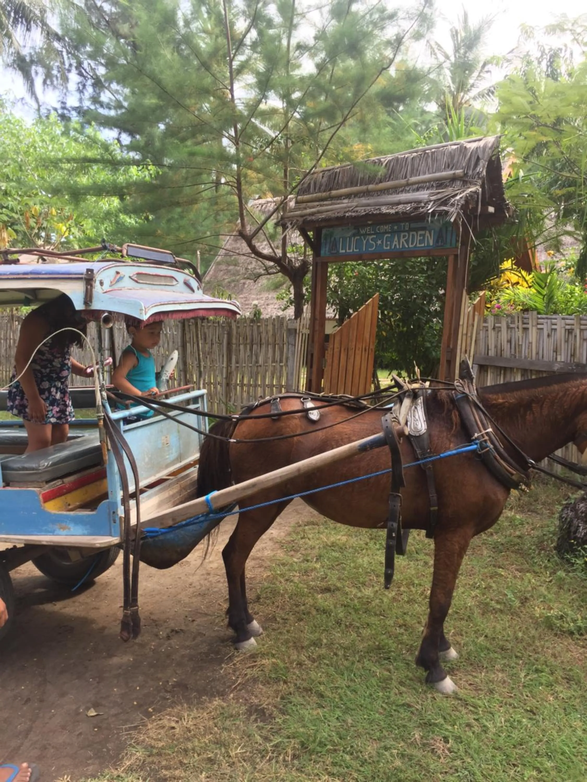 Logo/Certificate/Sign in Lucy's Garden Hotel