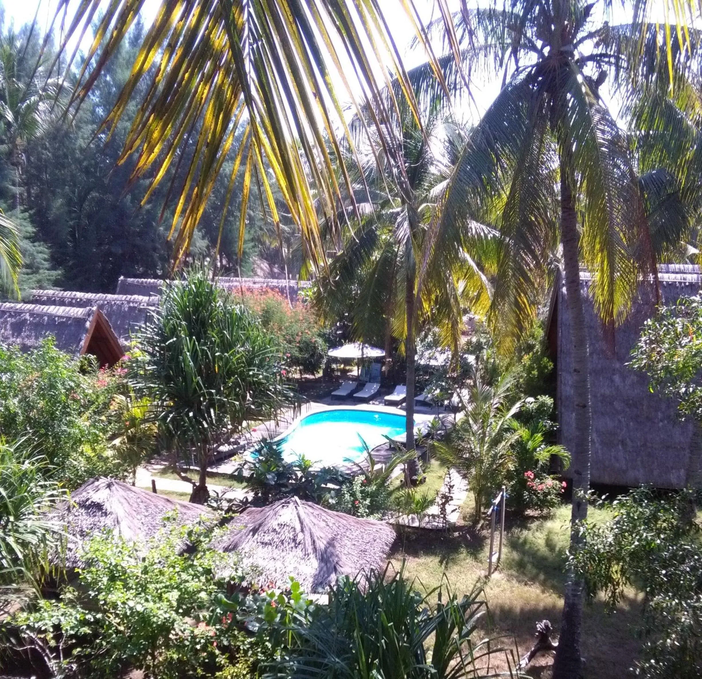 Bird's eye view in Lucy's Garden Hotel