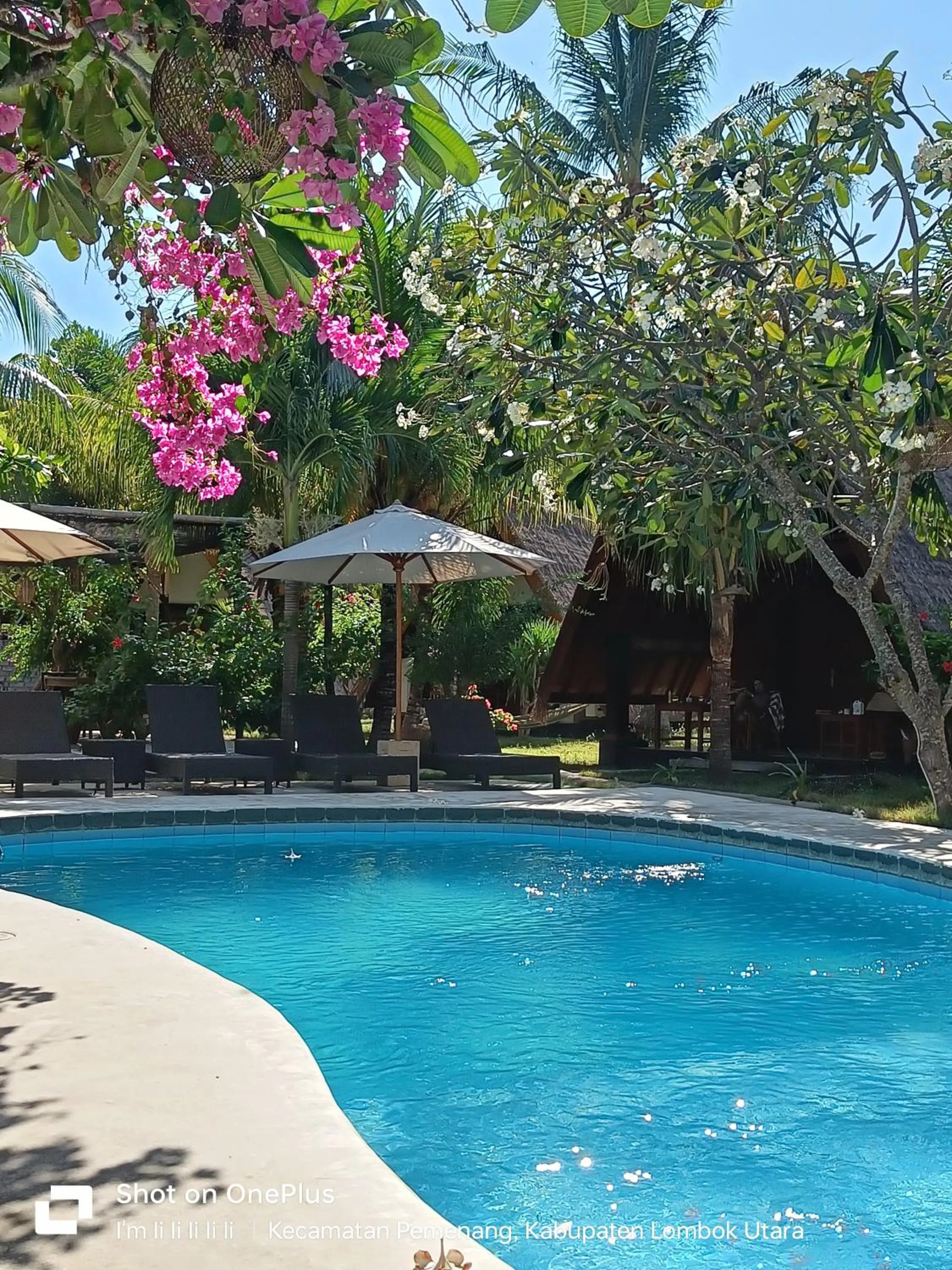 Swimming pool in Lucy's Garden Hotel