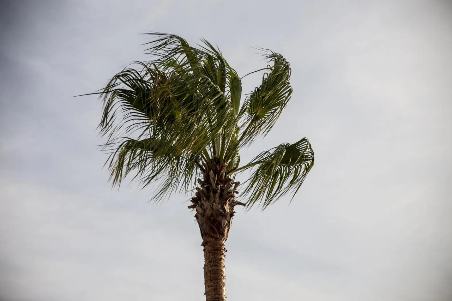 Natural landscape in Neopol Hotel