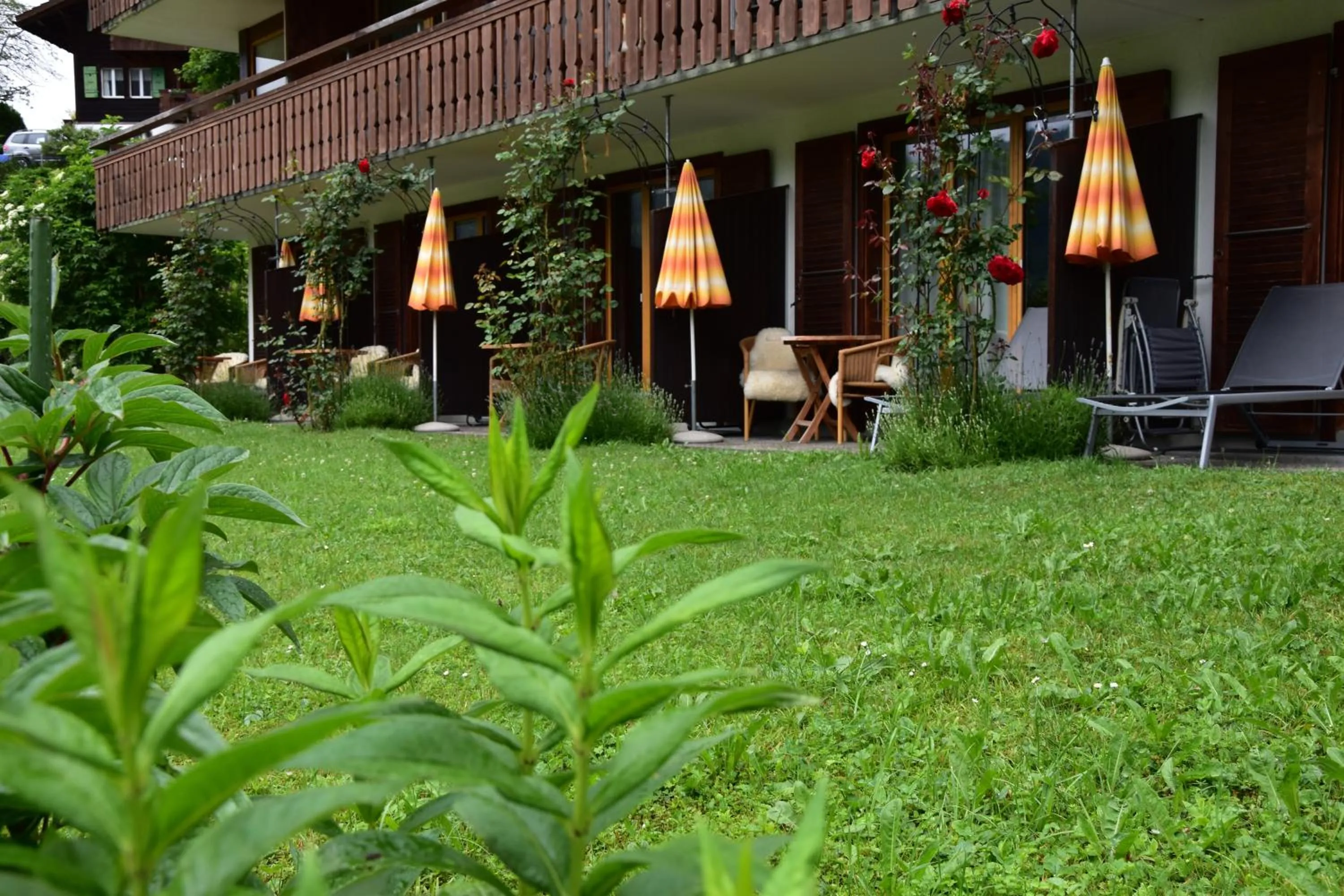 Garden in Hotel Cabana