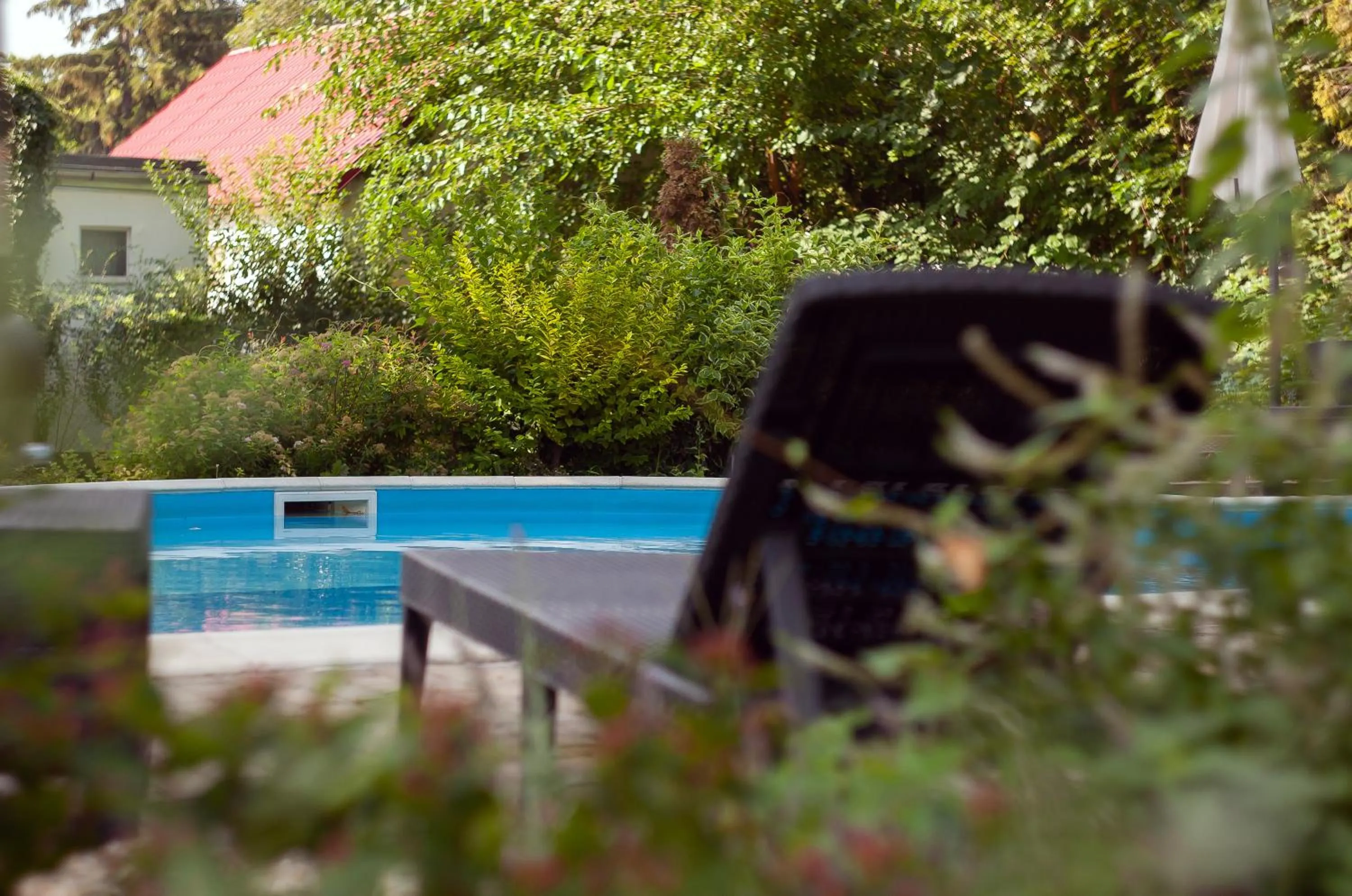 Day in Hotel Platán