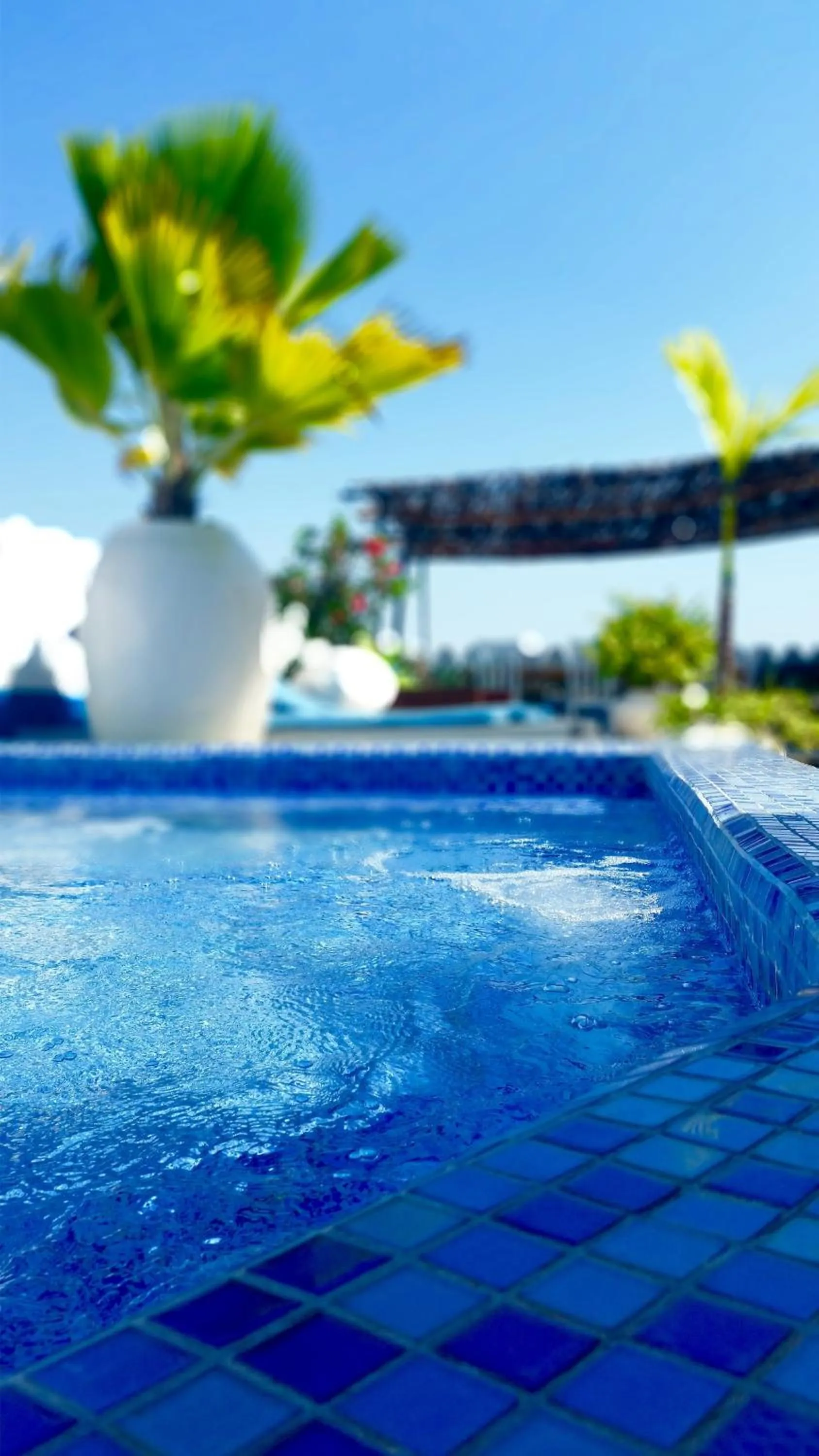 Swimming pool in The Swahili House