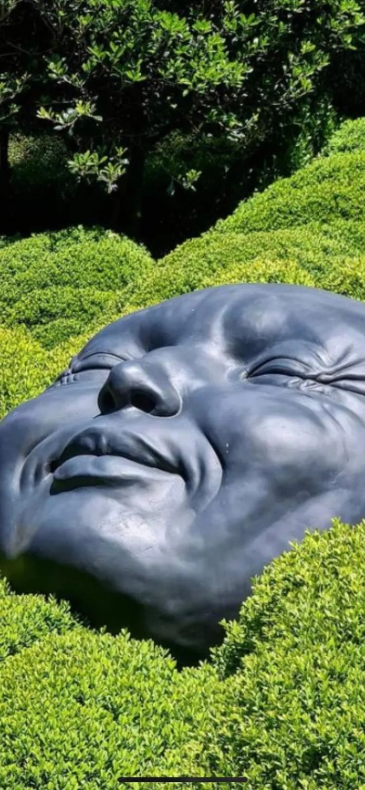 Entre Honfleur et Etretat