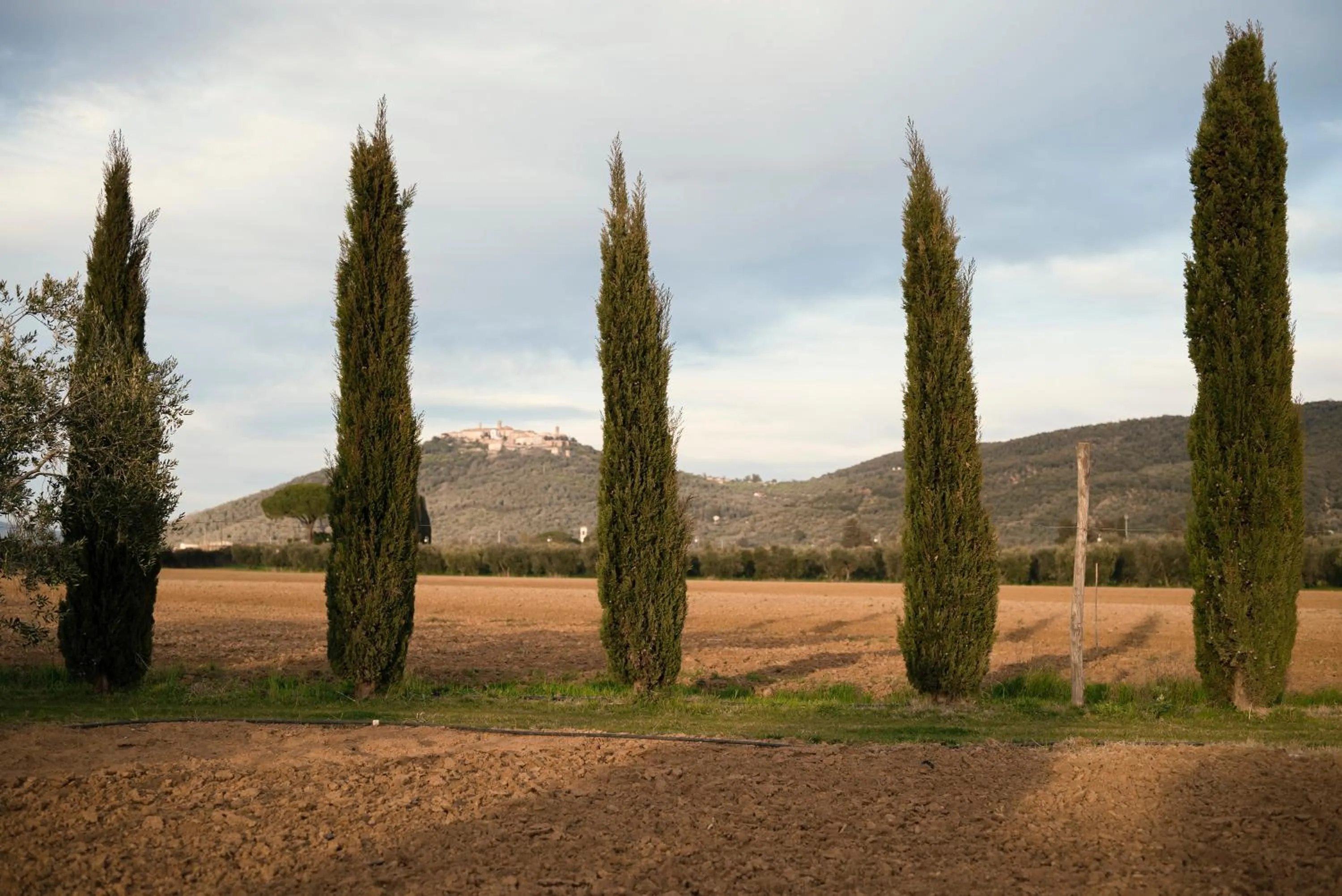 View (from property/room) in Guadalupe Tuscany Resort