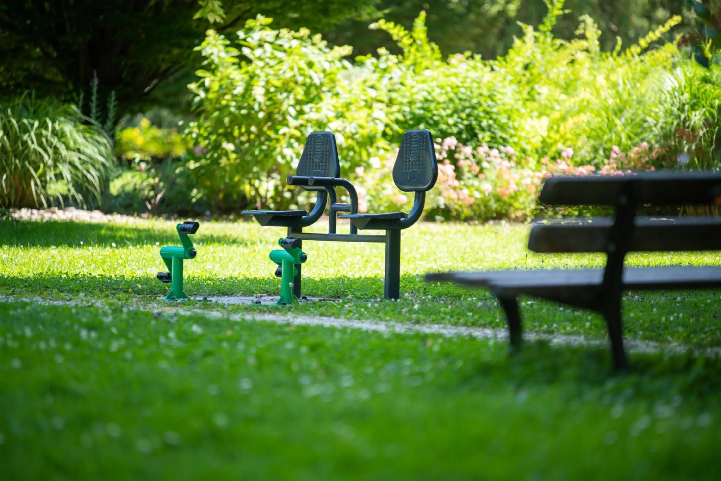 Activities in Hotel & Spa Radiana