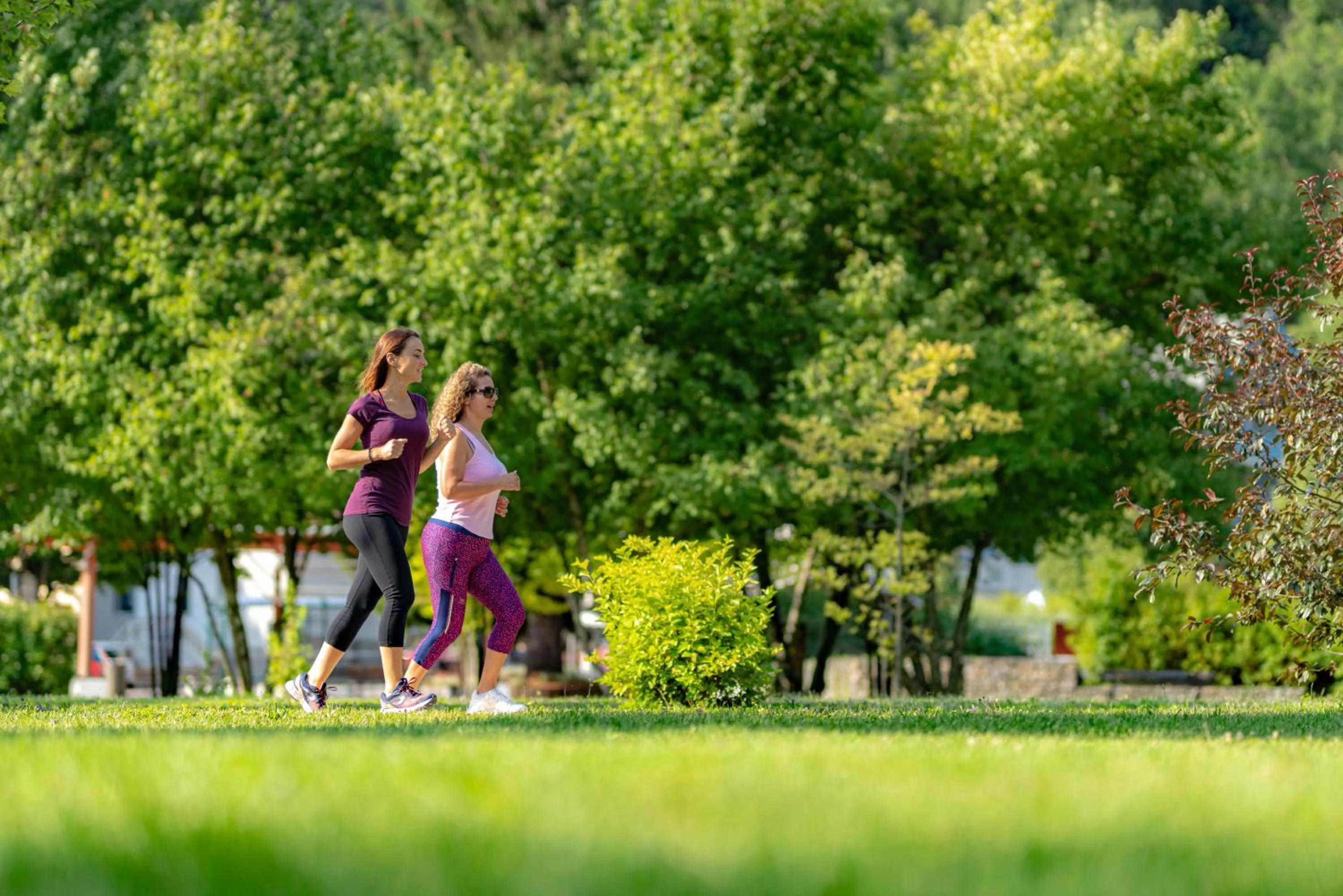 Activities in Hotel & Spa Radiana