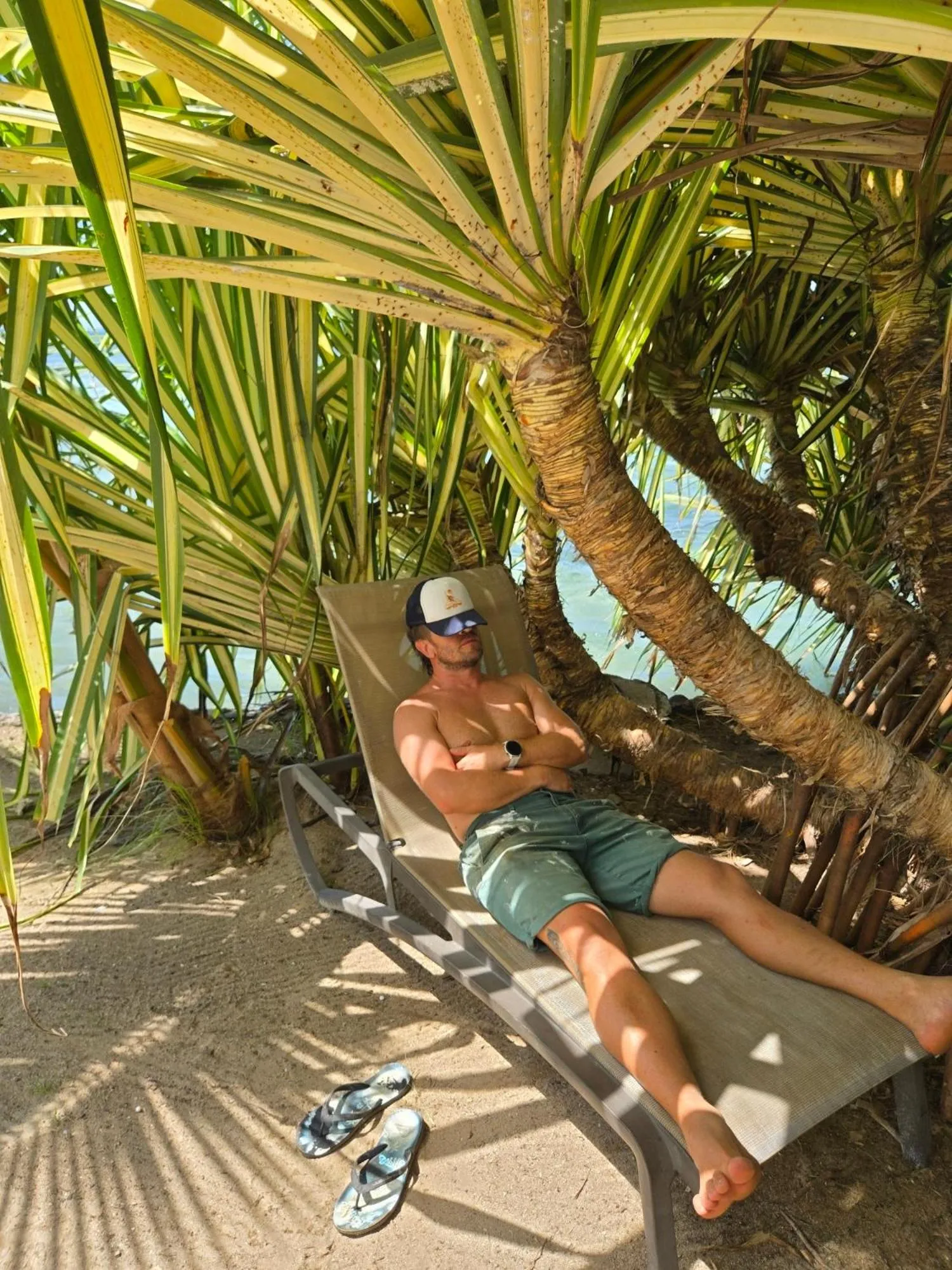 Garden in Secret Spot Lagoon Dream