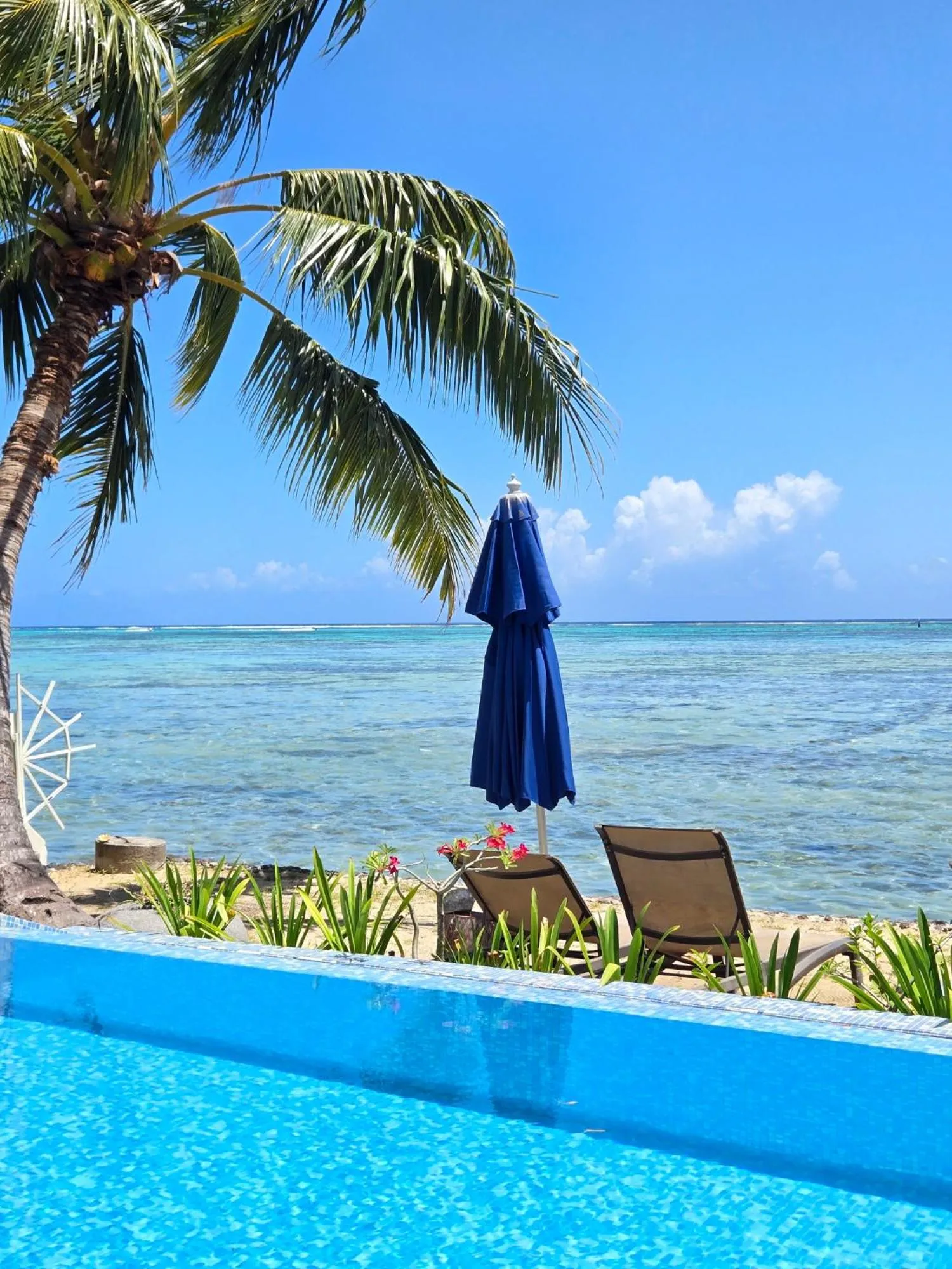 Secret Spot Lagoon Dream