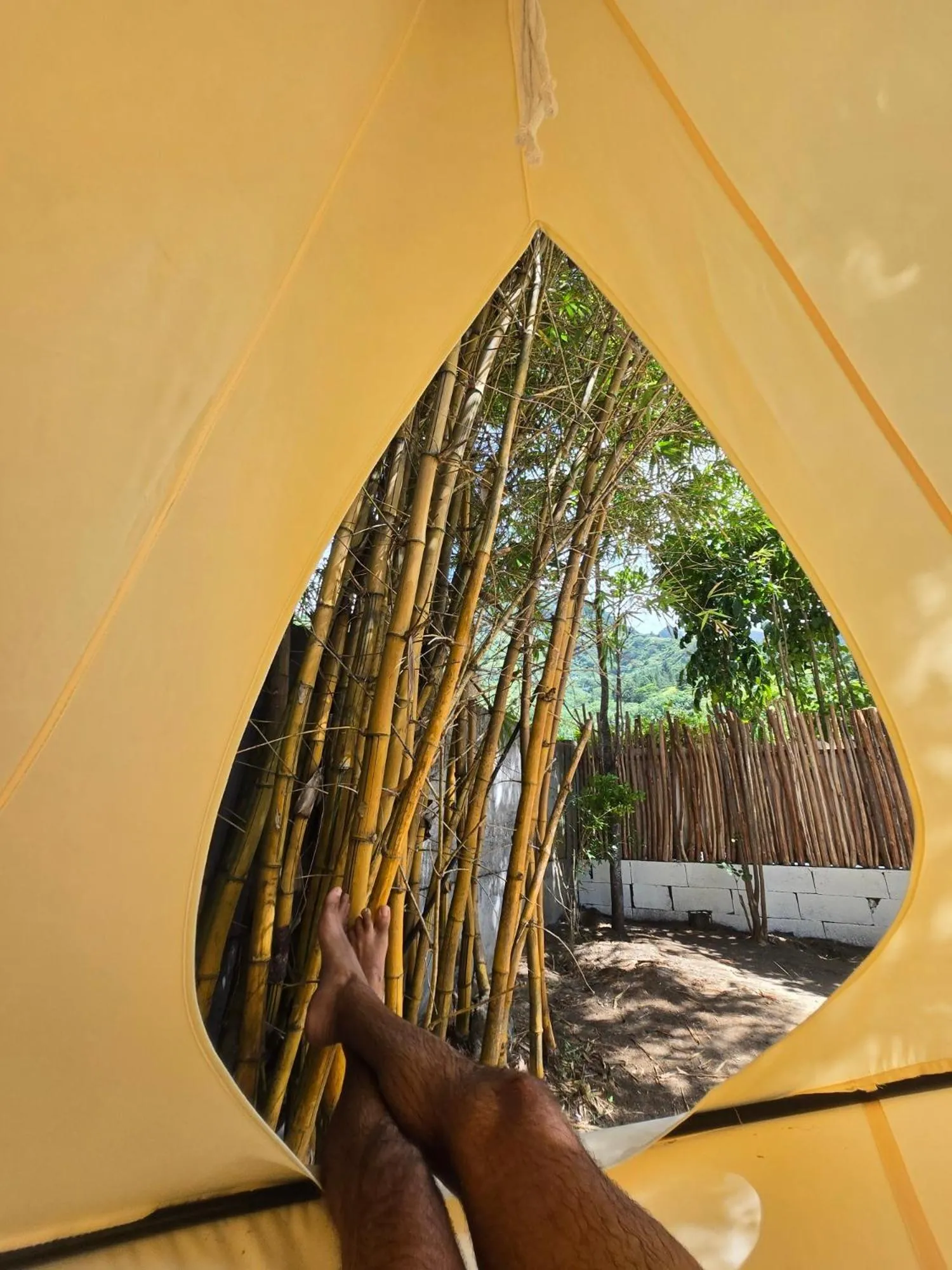 Natural landscape in Secret Spot Lagoon Dream