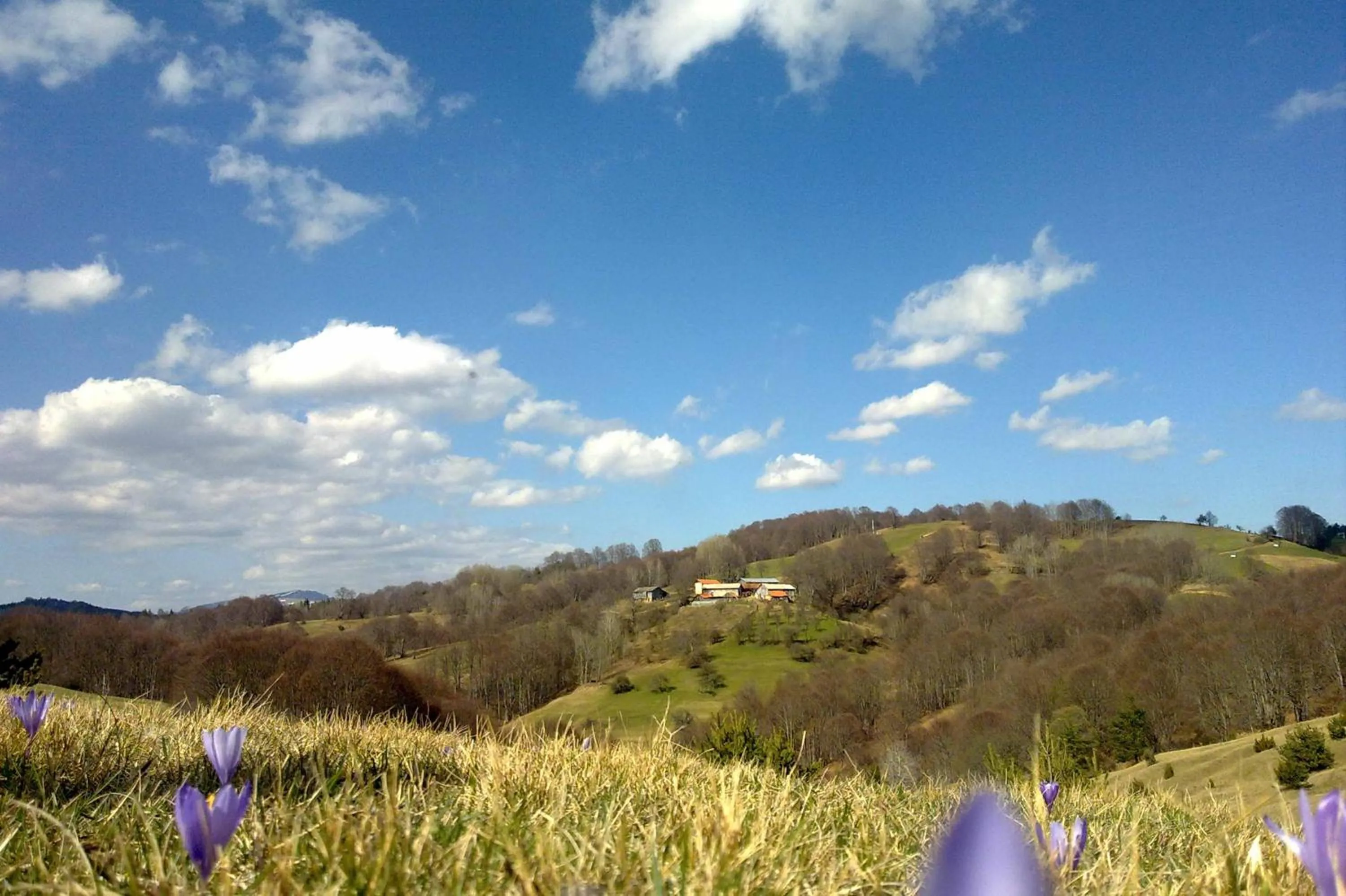 Natural landscape in Hotel Manastir Berovo