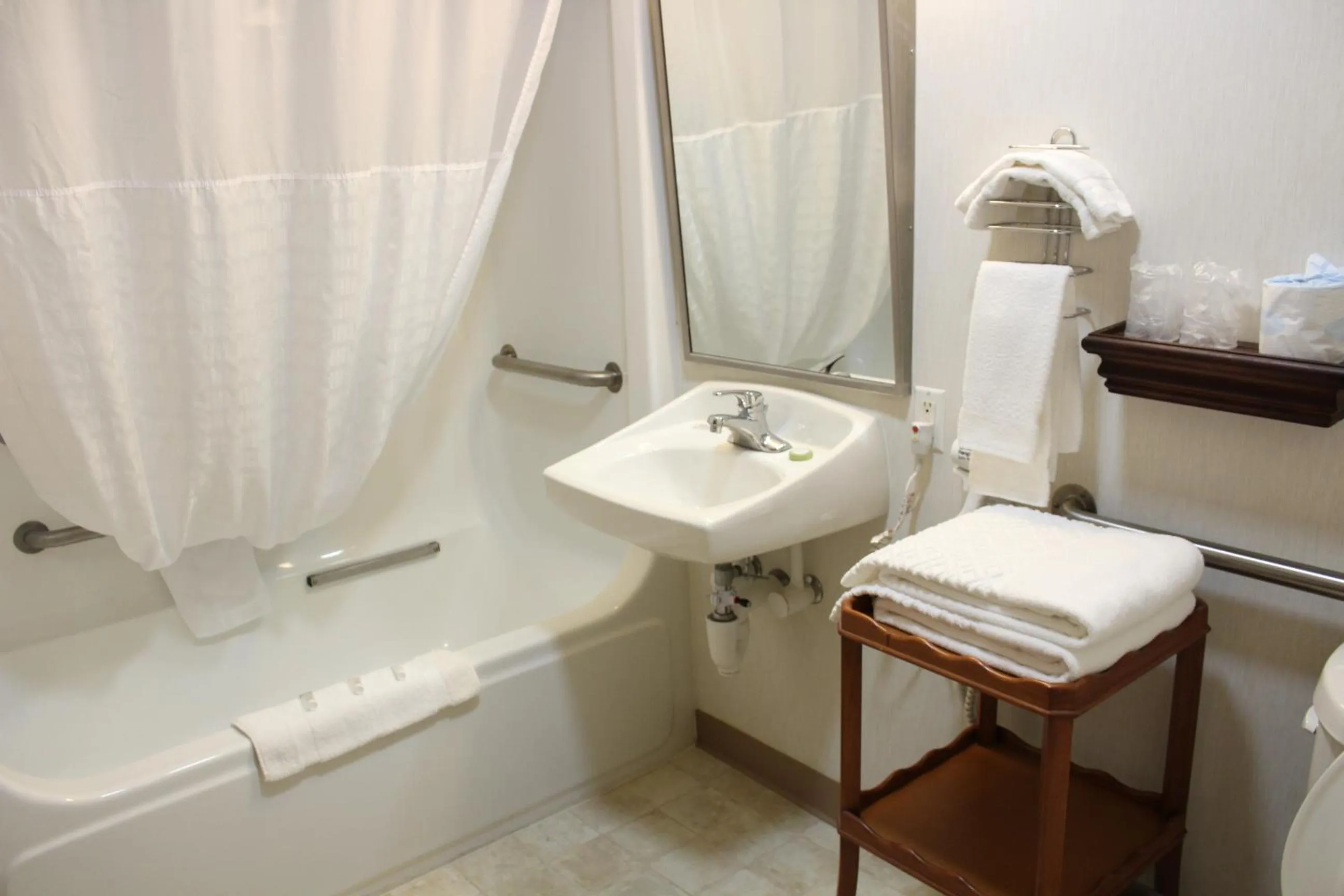 Bathroom in American Inn and Suites Ionia