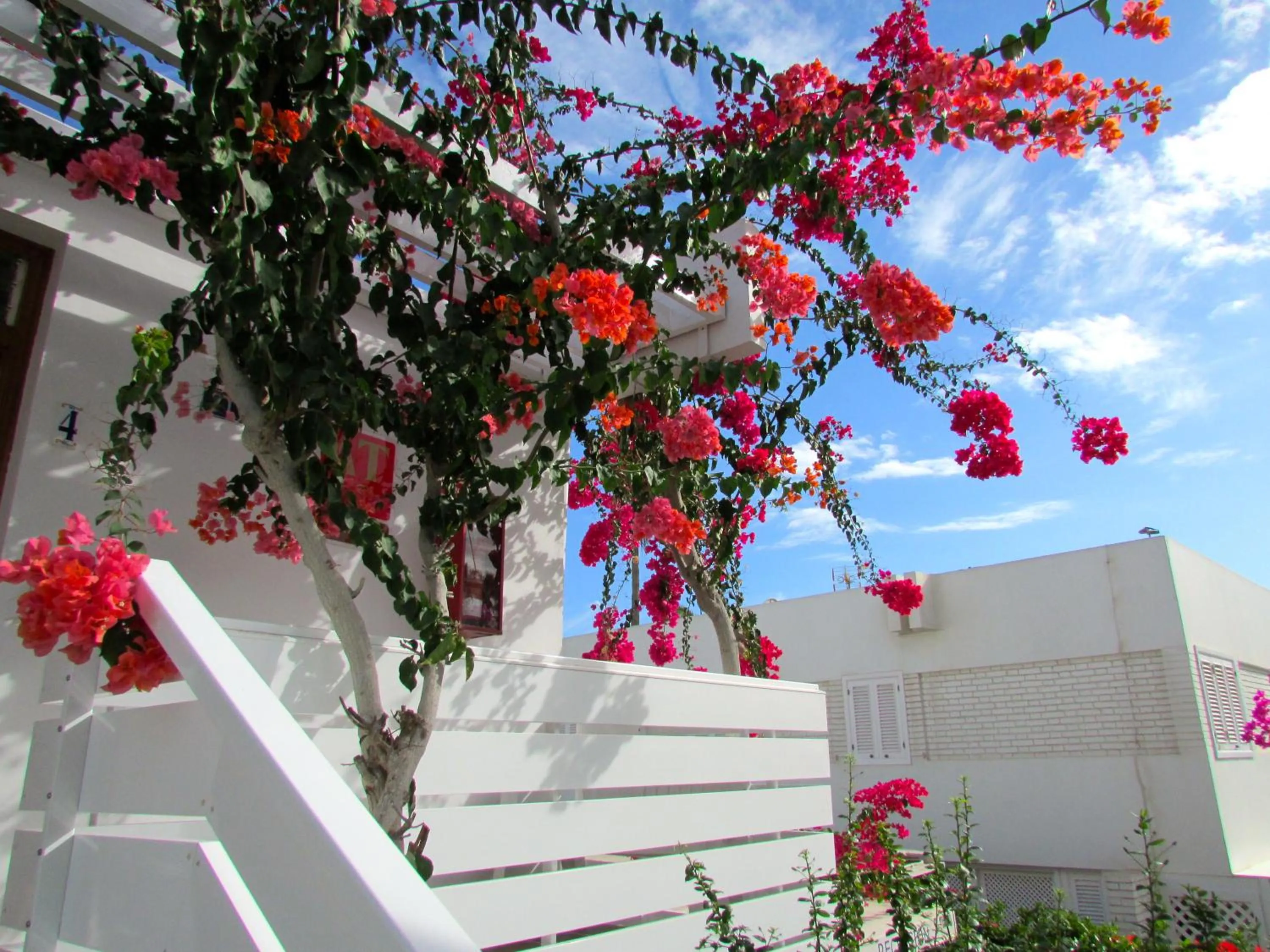 Garden in Apartamentos El Capricho