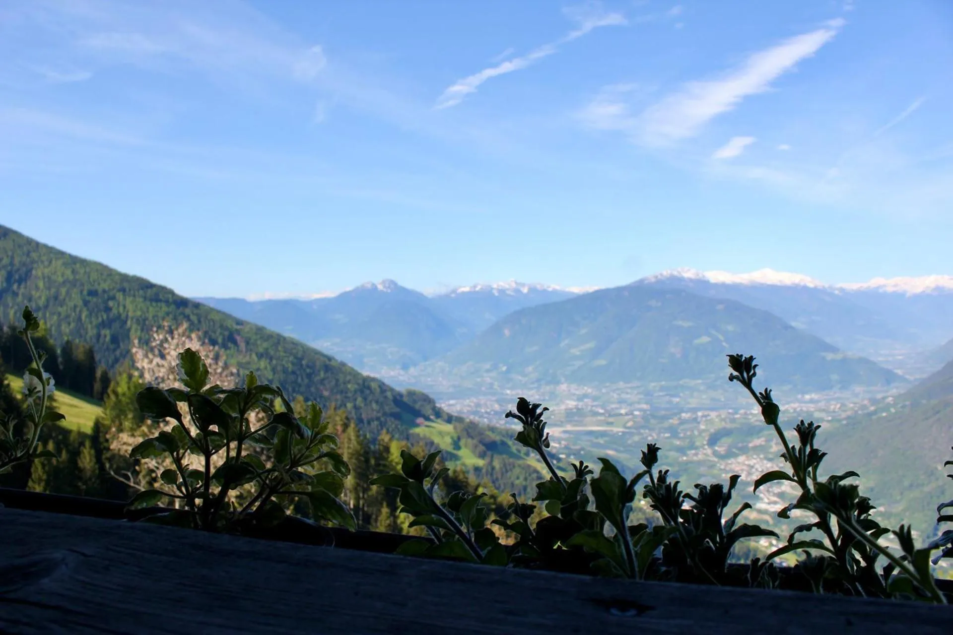 View (from property/room) in Gasthaus Oberkirn