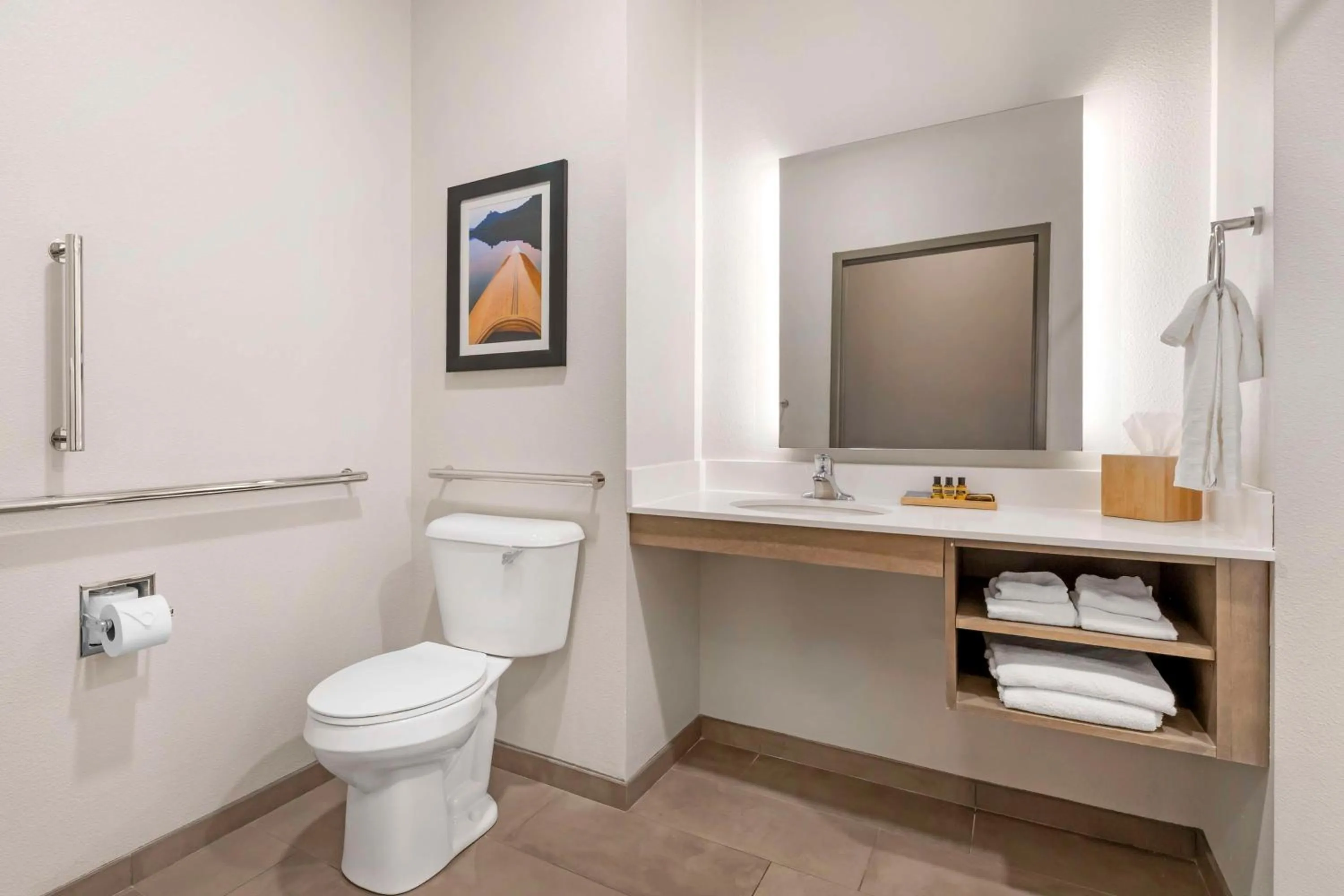 Bathroom in Best Western Plus LaCrescent - LaCrosse