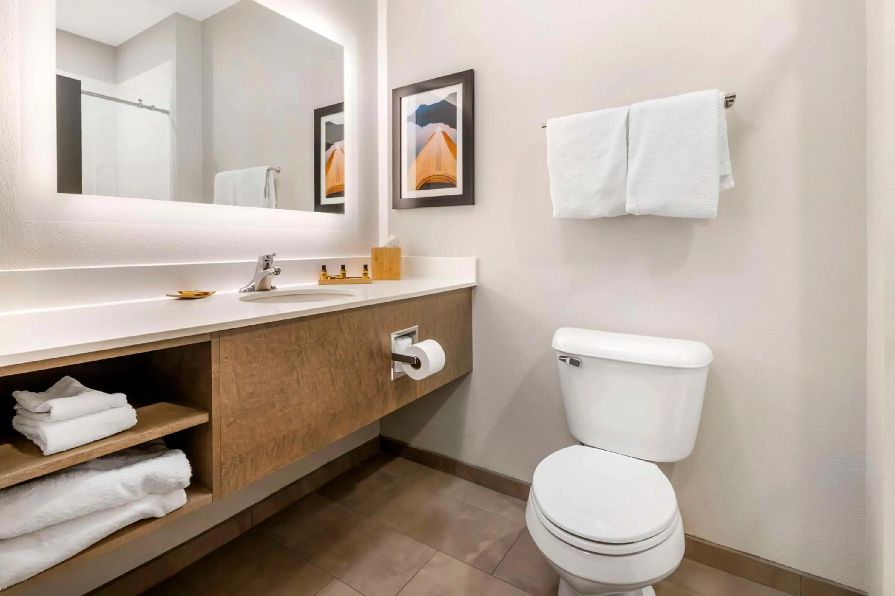 Bathroom in Best Western Plus LaCrescent - LaCrosse