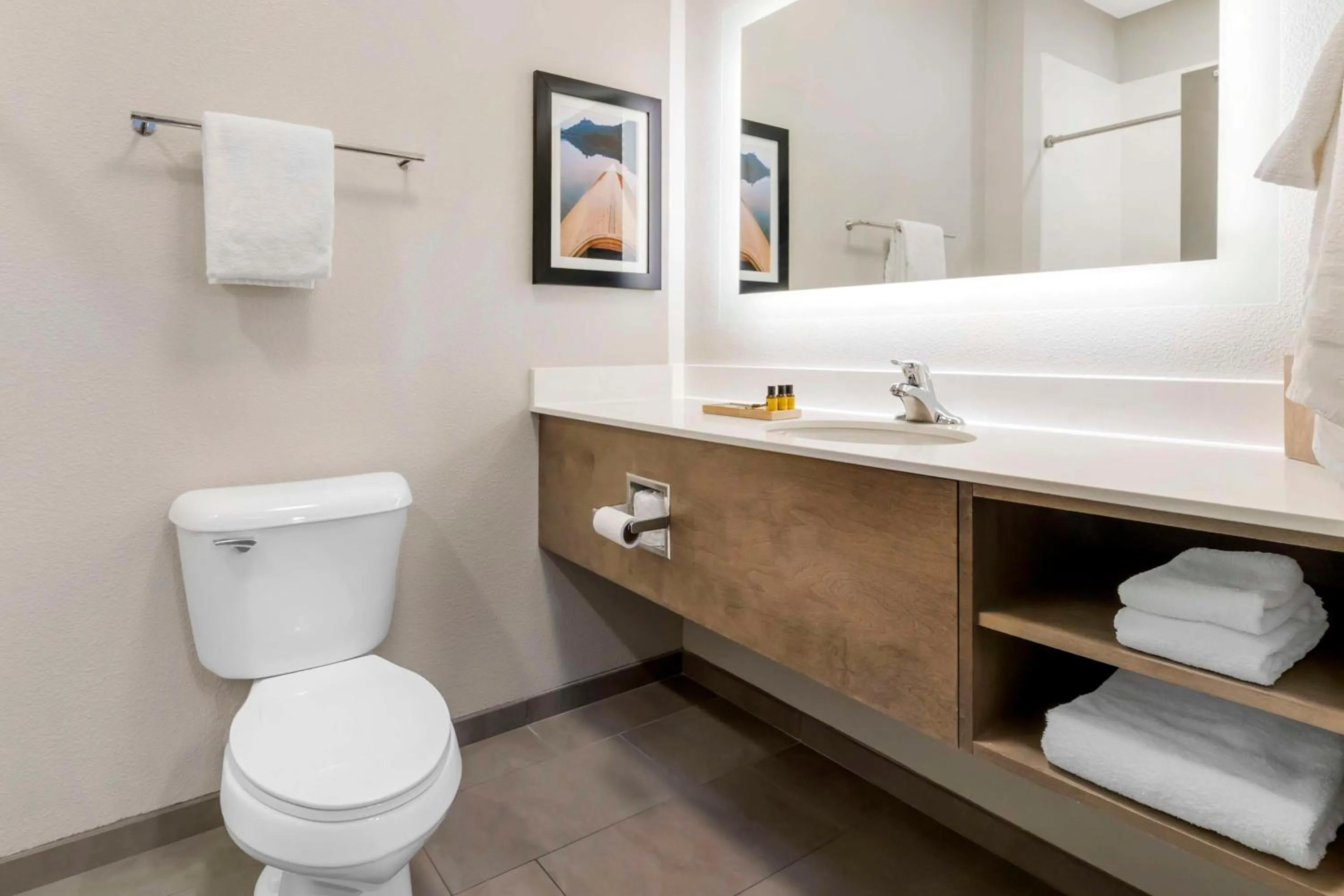 Bathroom in Best Western Plus LaCrescent - LaCrosse