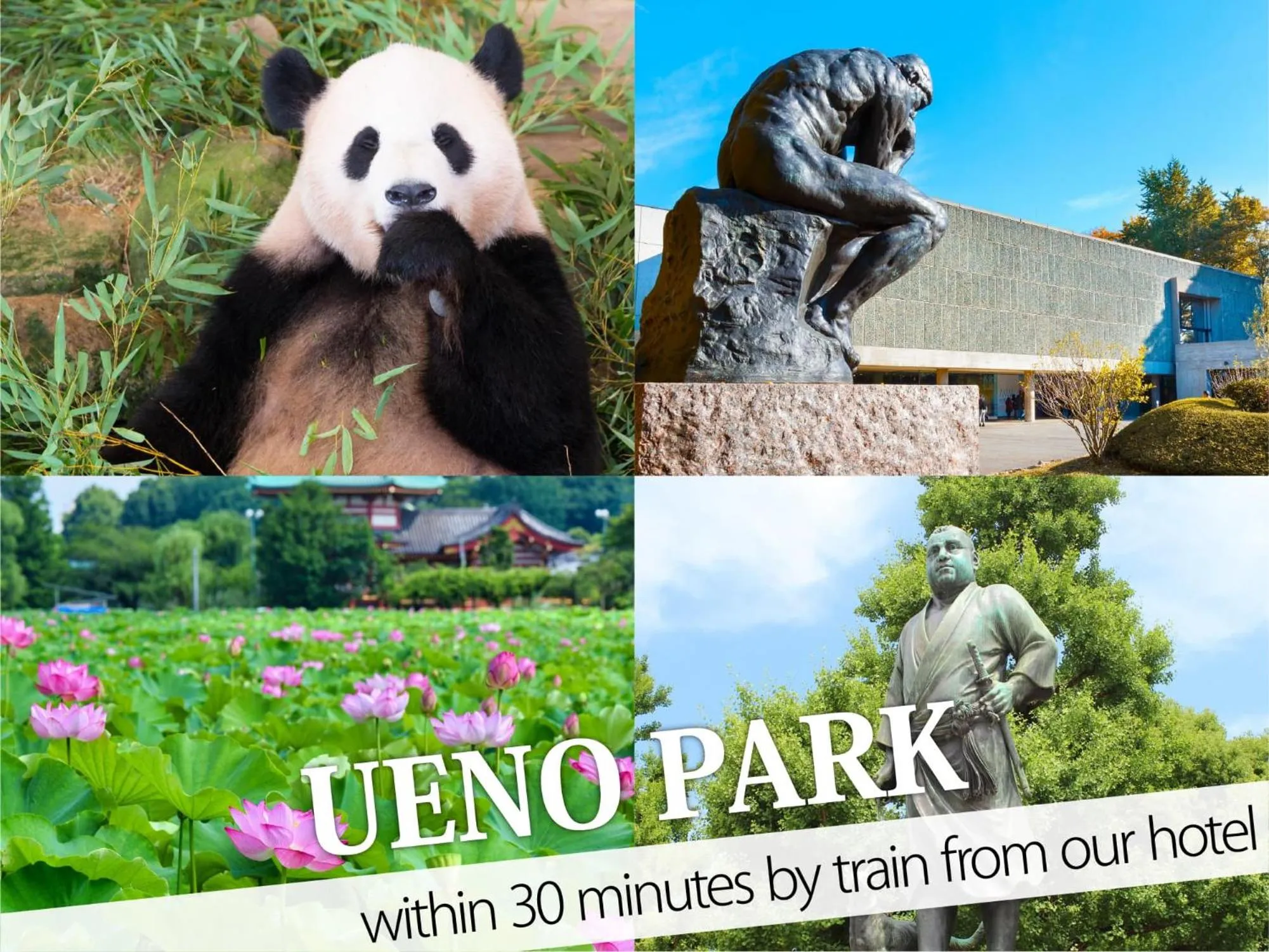 Nearby landmark in Hotel Gran Villa