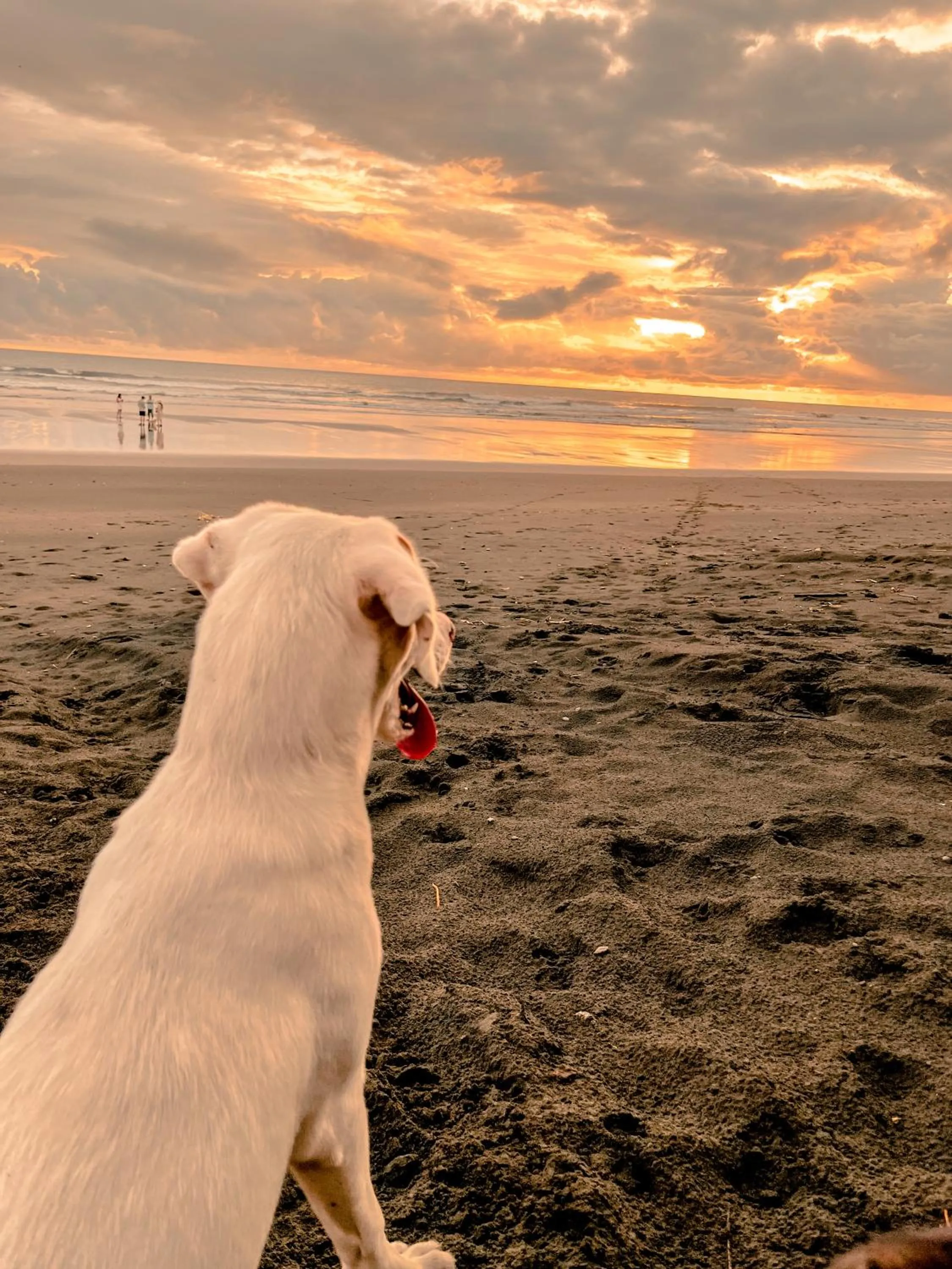 Patio in Tranquilidad Resort