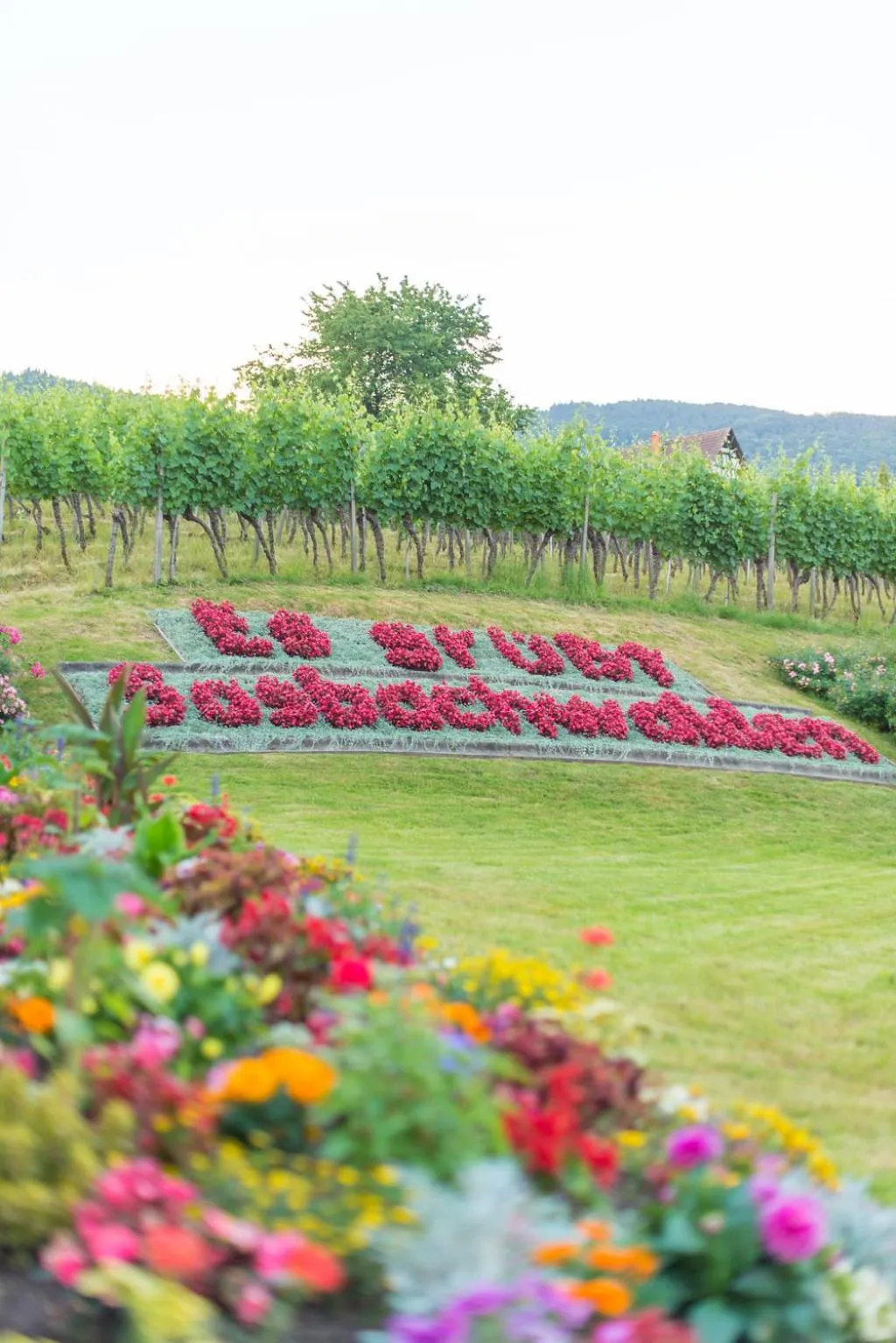 Natural landscape in Hotel Restaurant Der Engel, Sasbachwalden