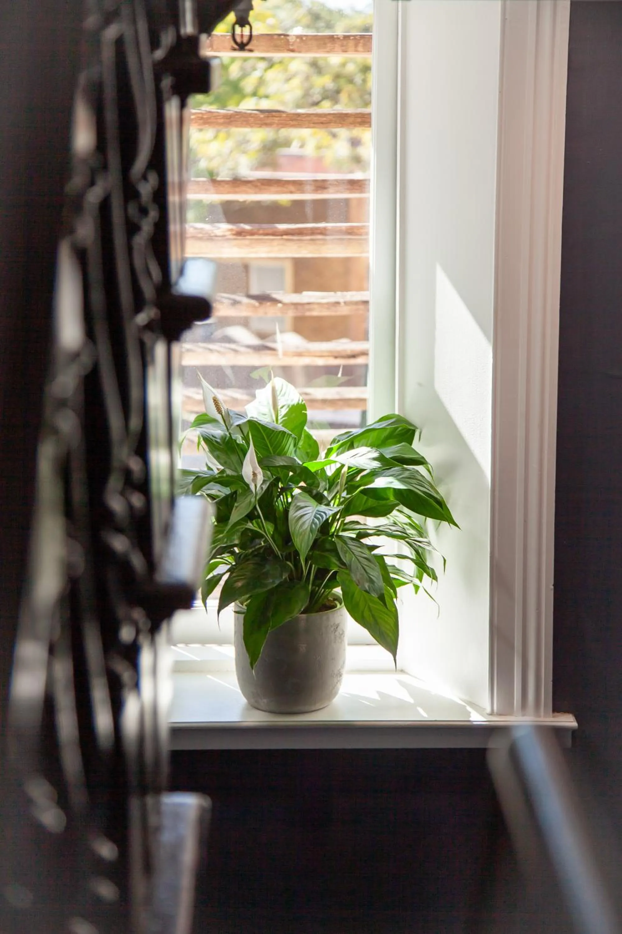 Bayswater Boutique Lodge - Potts Point